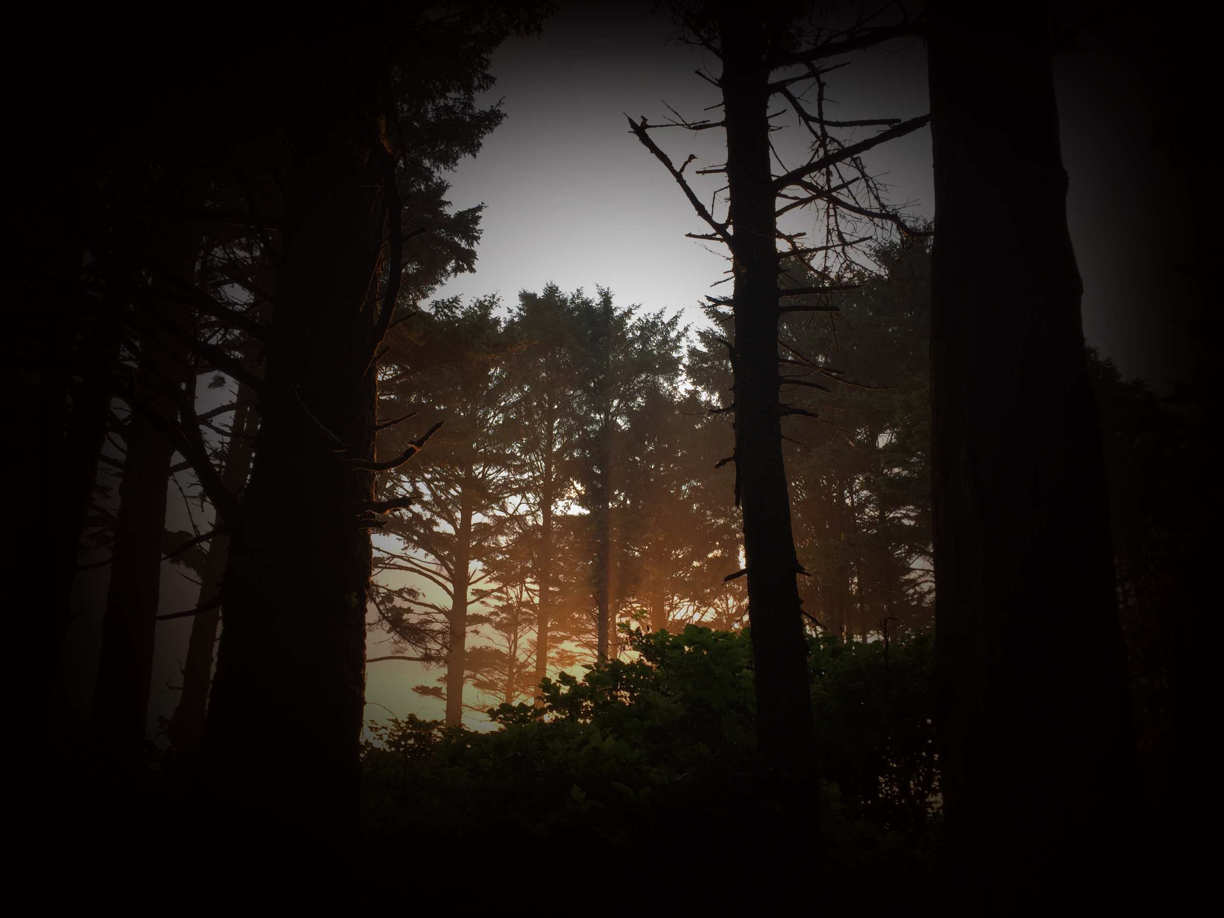 Fireland Sunset 1.jpg