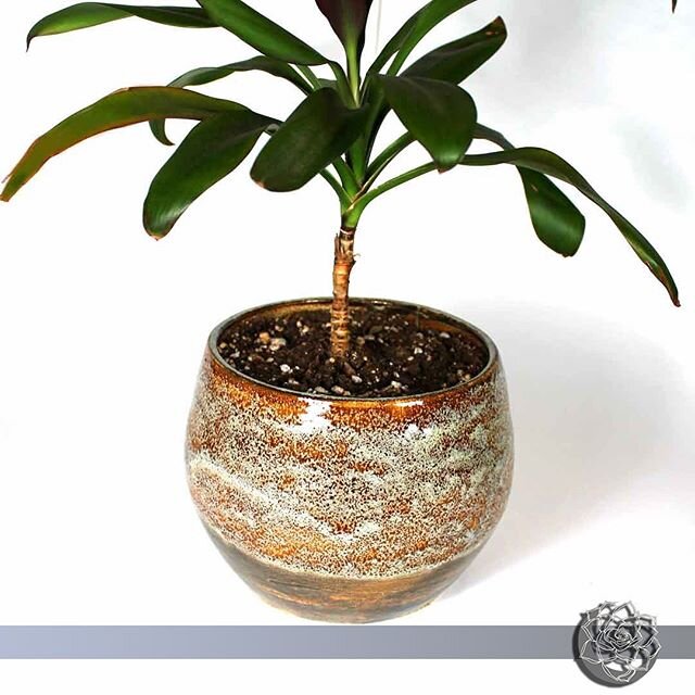 Hi I&rsquo;m a gorgeous pot made by hand by a lovely woman! Twisted Pine Pottery is where you can get something made with love that gives your plants (or maybe your coffee) a home.⁠⠀
⁠⠀
@twistedpinepottery⁠⠀
⁠⠀
We enjoyed helping Twisted Pine Pottery