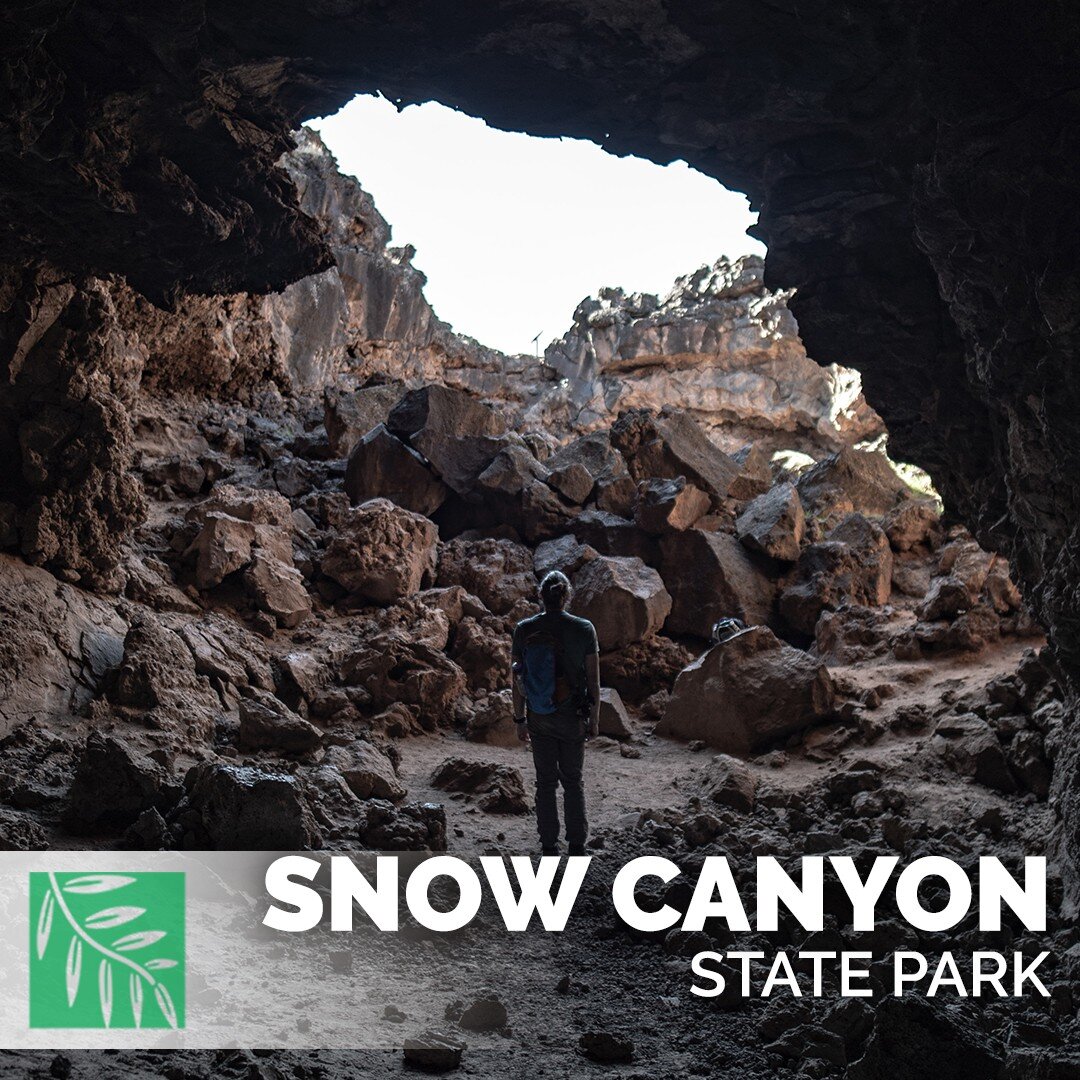 What to Do at Snow Canyon:
- Three Ponds Trail: 3.5-mile hike through the desert's canyon that takes you through holes eroded into sandstone that fills with water.

- White Rocks Trail: this trail leads you to a variety of exciting destinations all a