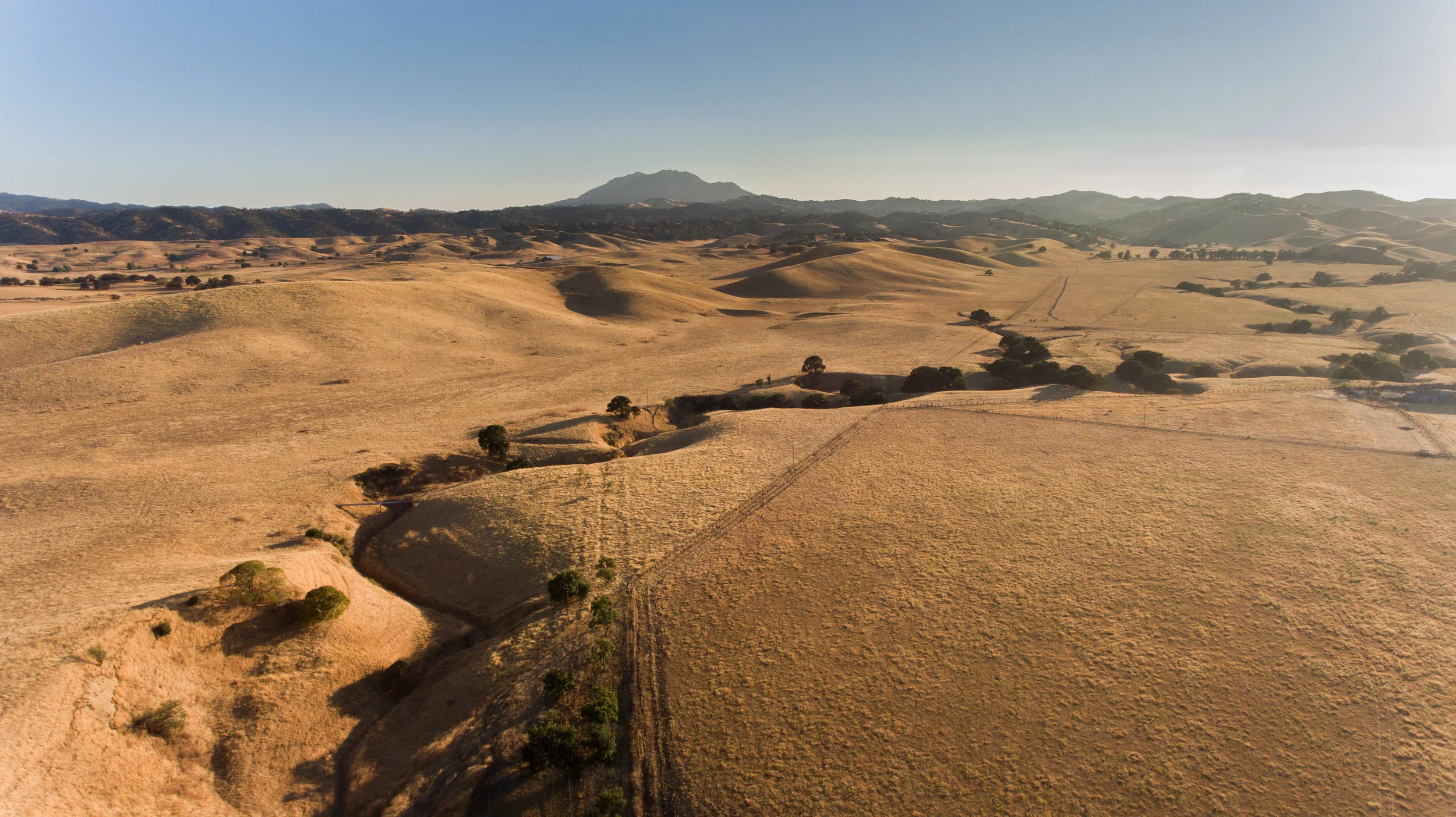 DJI_0192.jpg