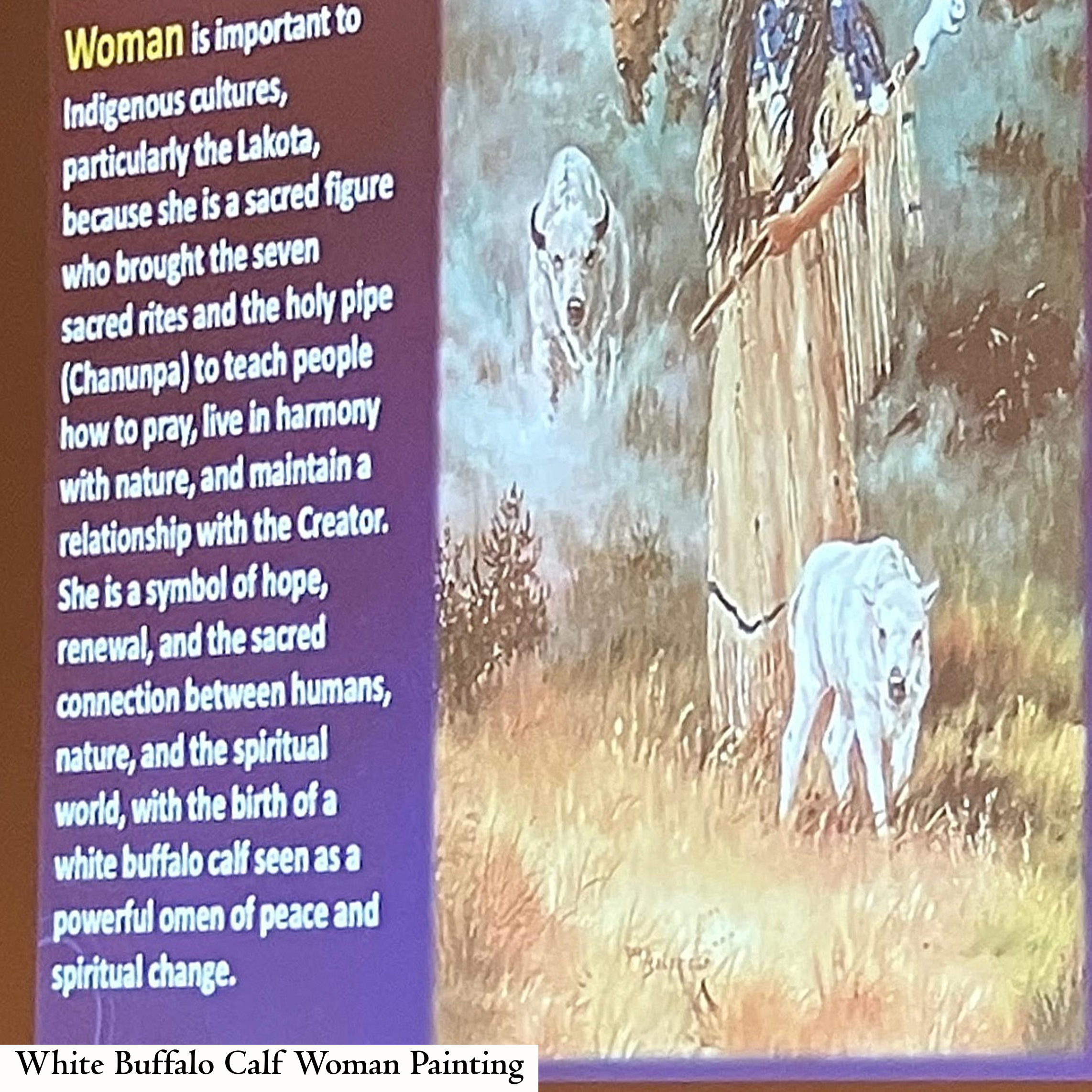 White+Buffalo+Calf+Woman+Painting+-+1.png