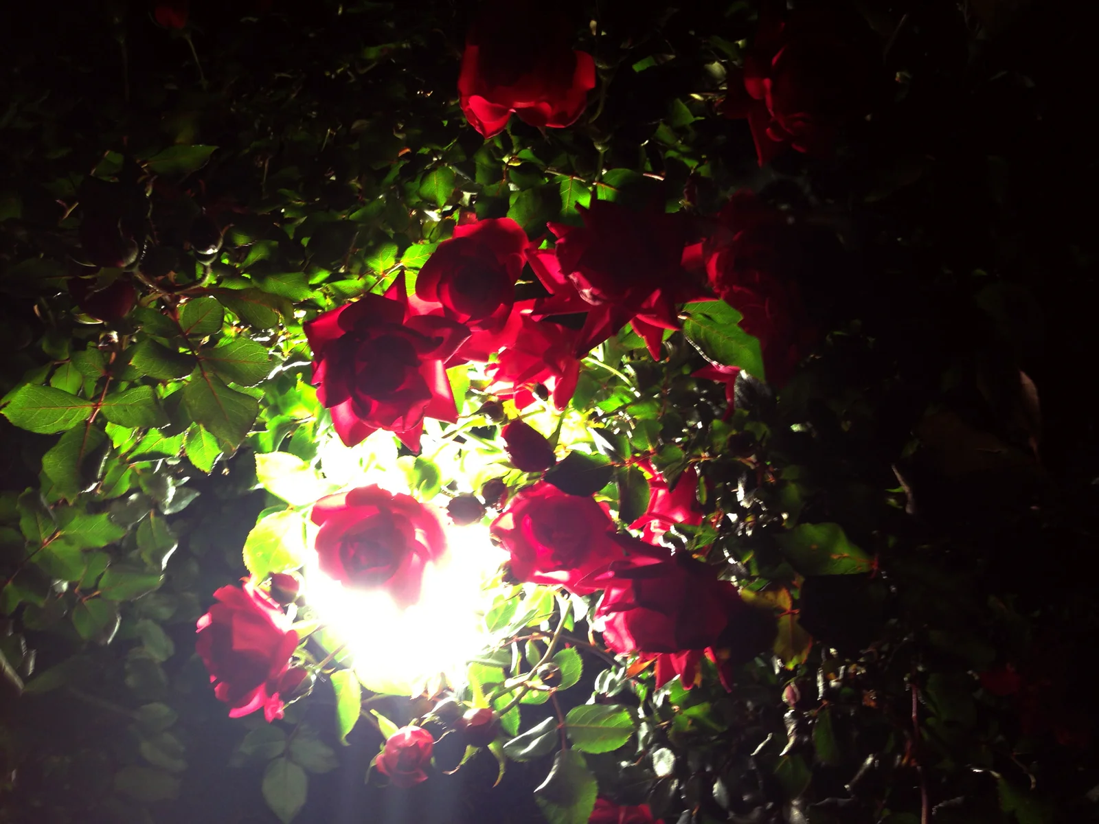 Glowing