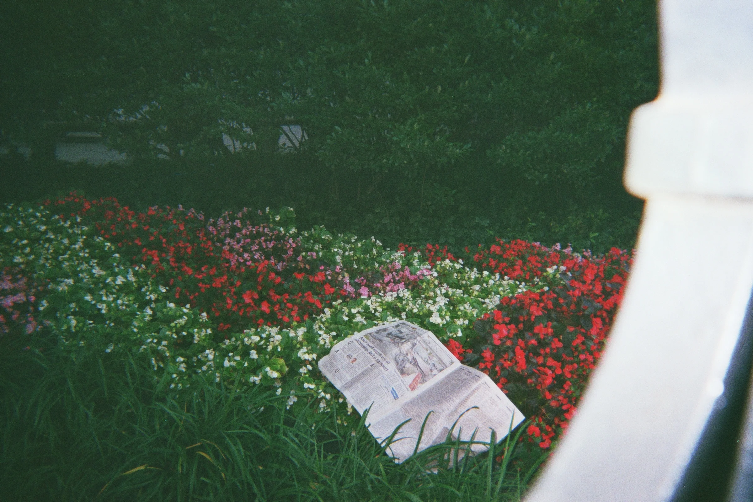 _9A_00063.jpg