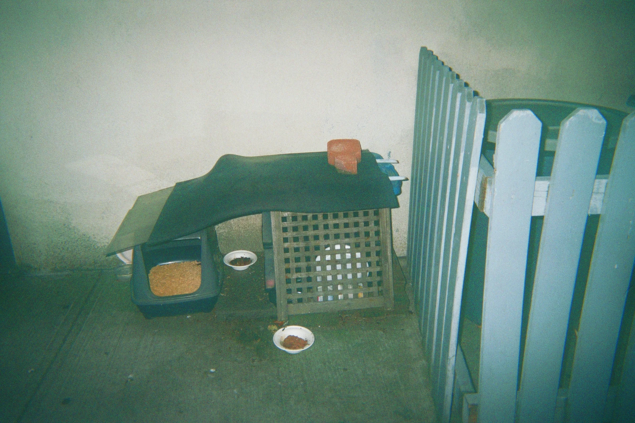 11A_00038.jpg