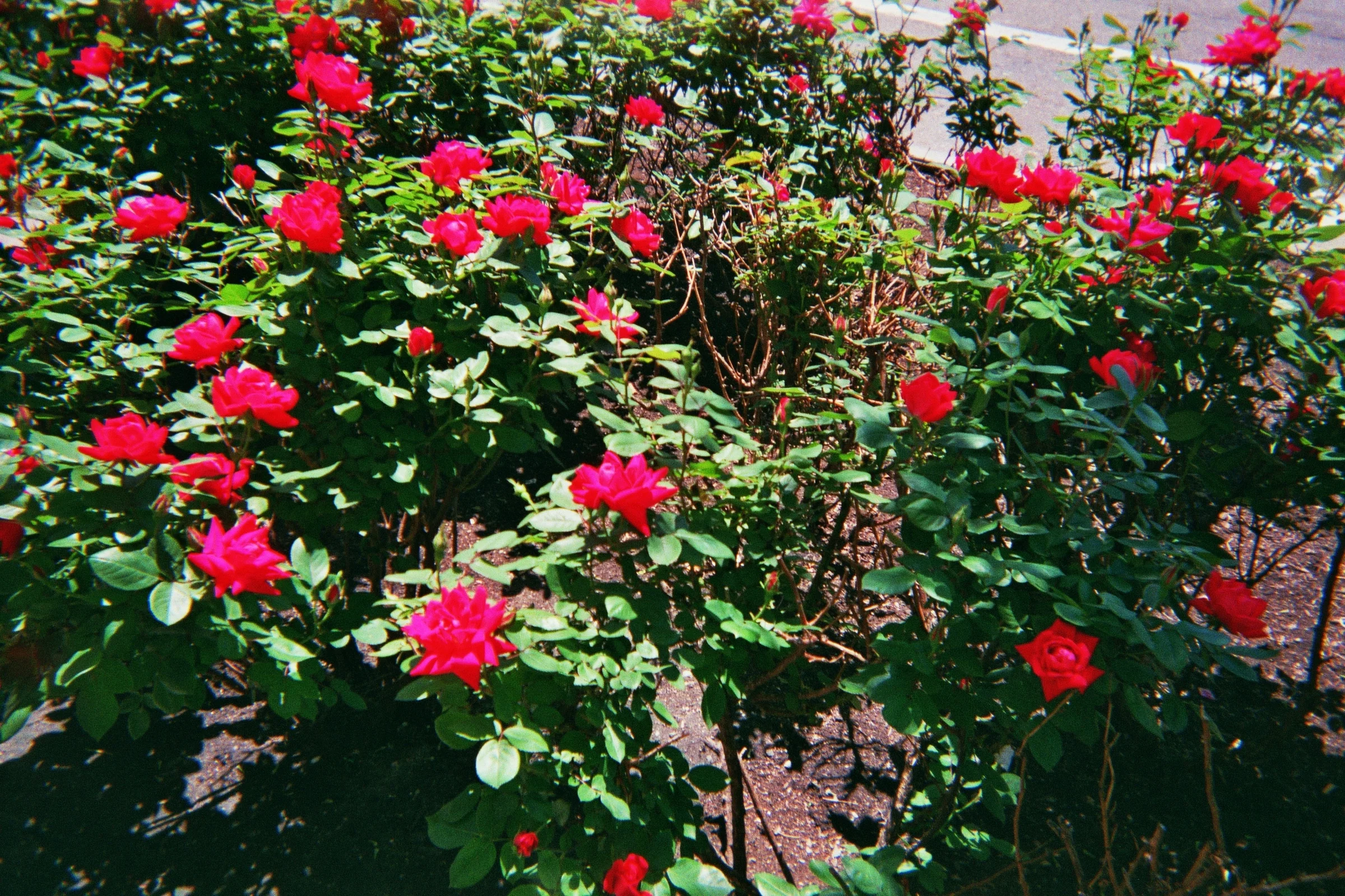 _3A_00170.jpg