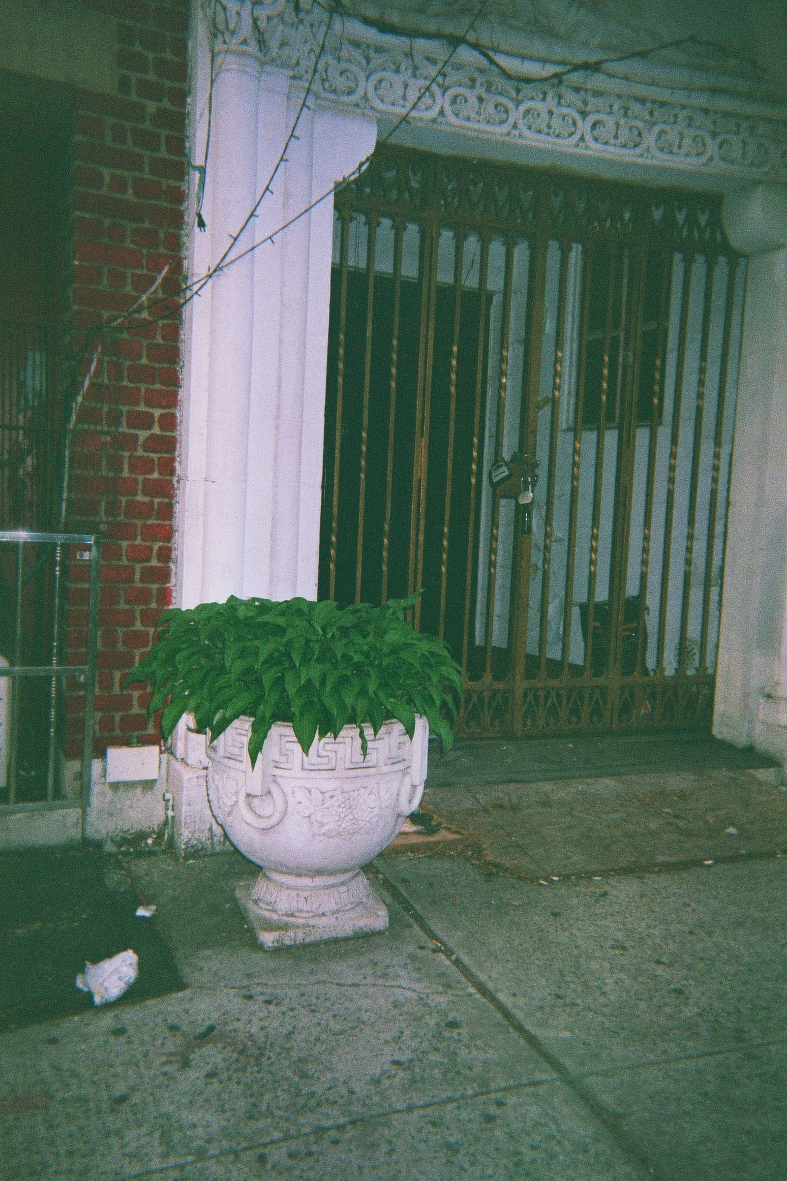 19A_00186.jpg