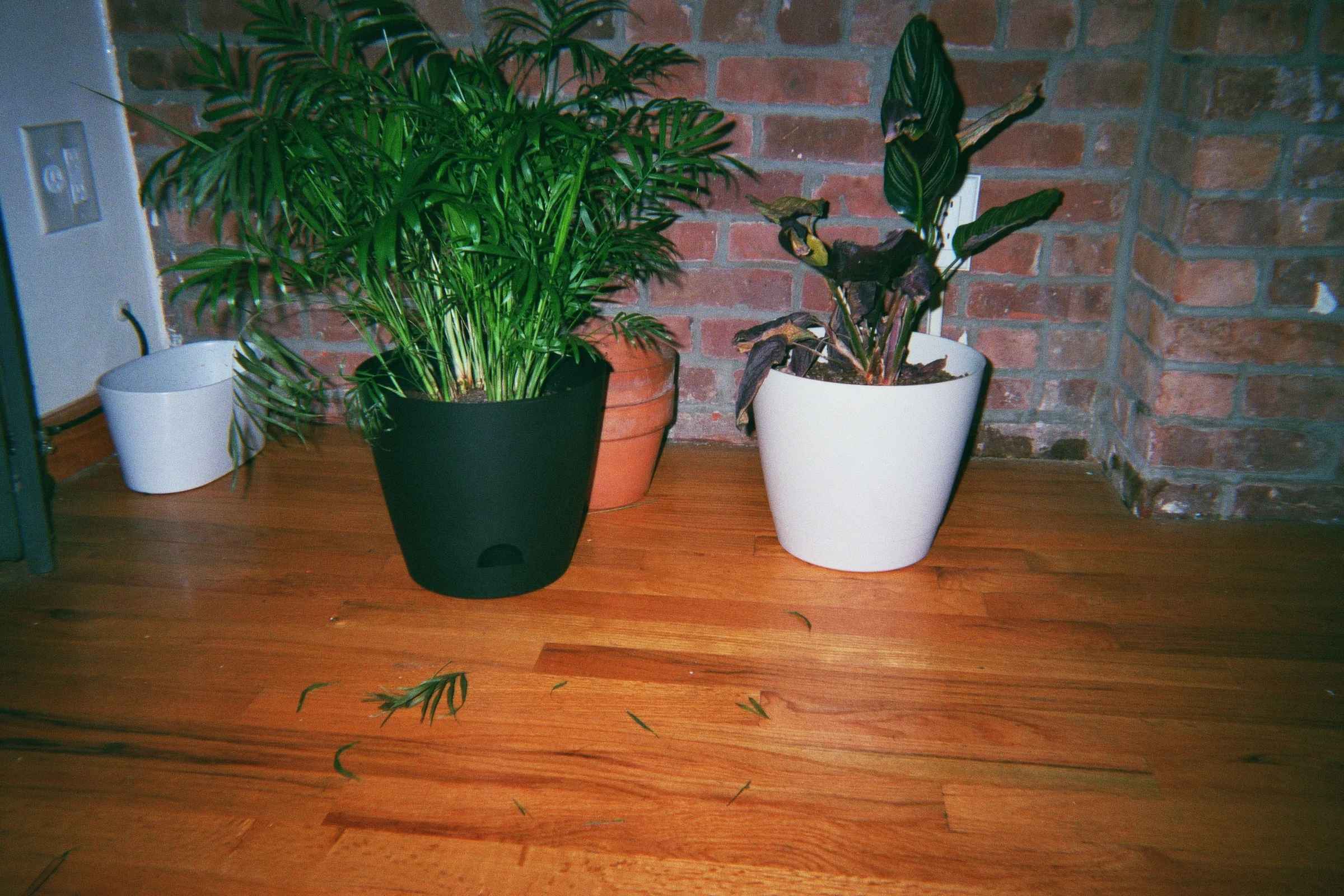 16A_00019.jpg