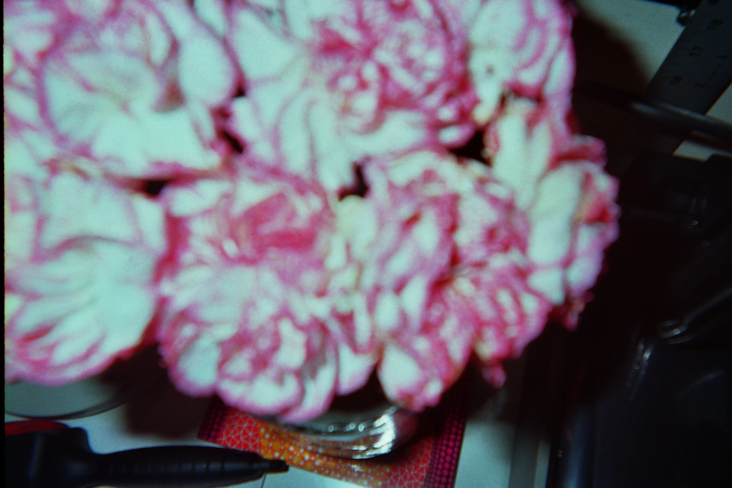 _5A_00053.jpg