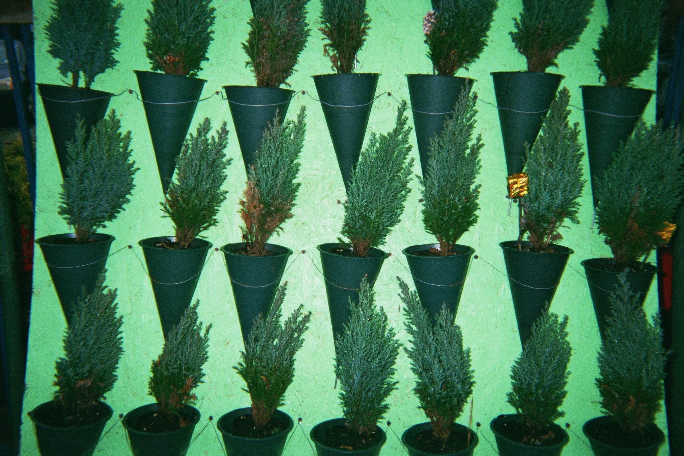_9A_00057.jpg