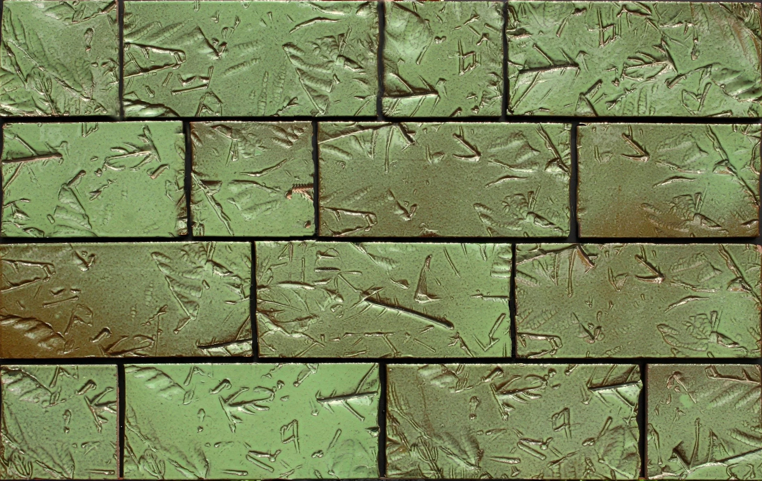 Blattprofil Amazonas