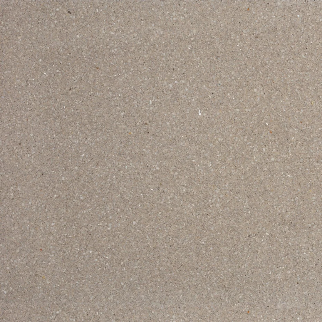 Cardboard (NEW)