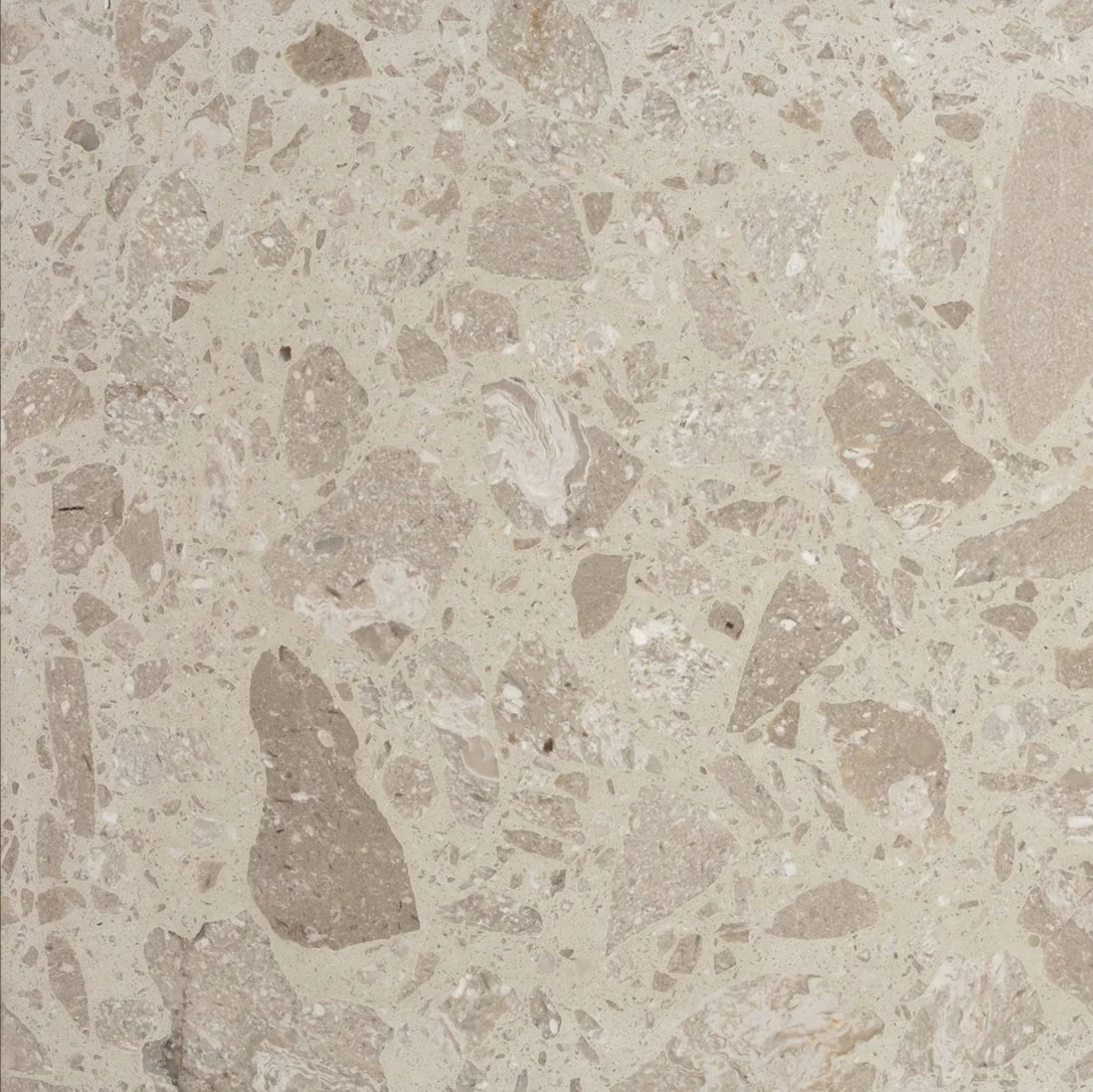 Fossile (NEW)