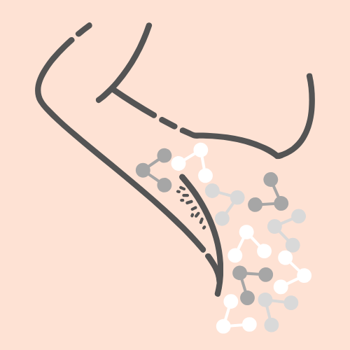 Lymph Nodes.png