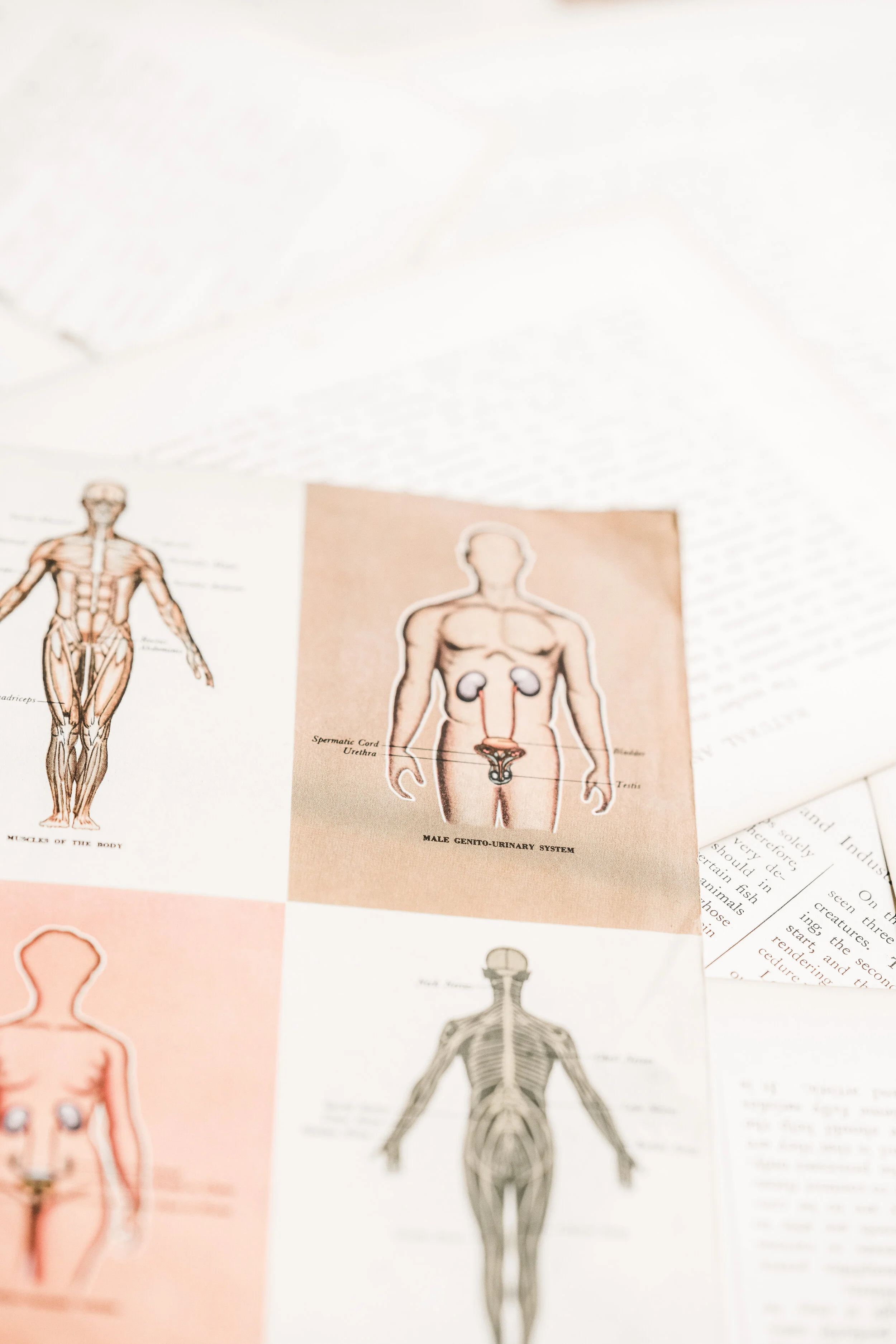 The benefits of Naturopathic Medicine during a pandemic