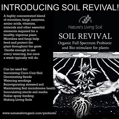 Transform your lifeless dirt into vibrantly alive soil – Marin Independent  Journal