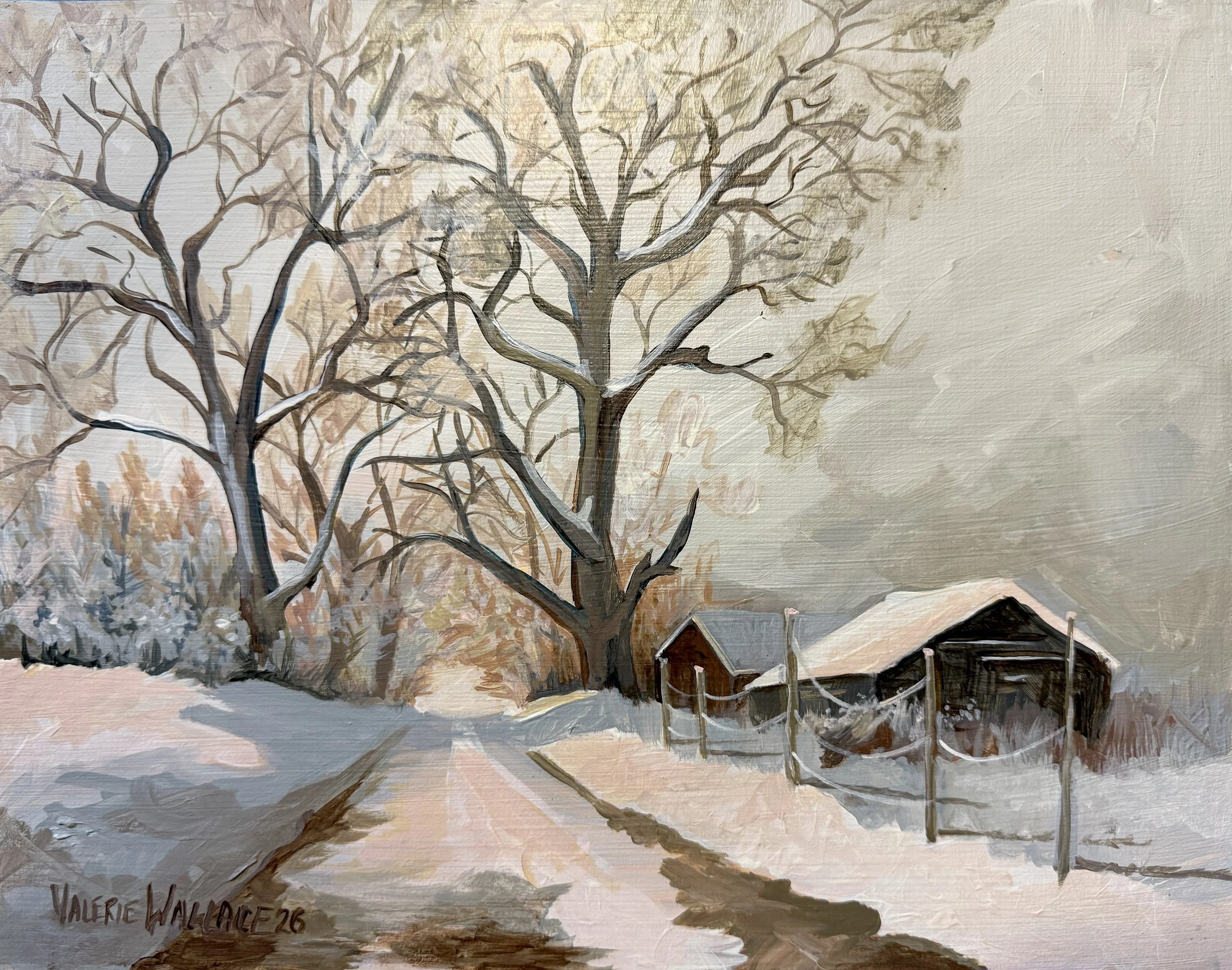 IValerie-wallace-fine-arts-barn-in-snow MG_7490.JPG