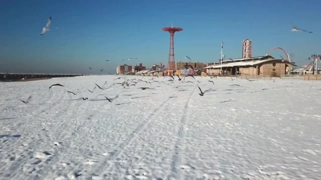 New York beach, post snow day