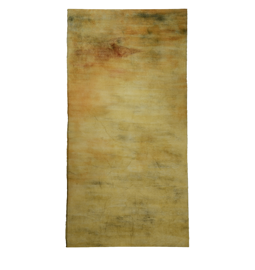   Illumine III , mulberry paper, sea water, soil, white clay, slate pigment, woad, yellow, orange and red ochre, 2015 