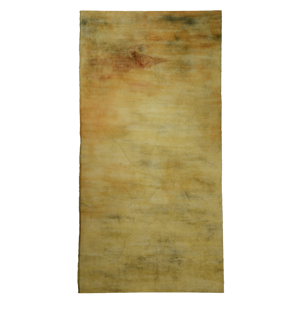 Illumine III , mulberry paper, sea water, soil, white clay, slate pigment, woad, yellow, orange and red ochre, 2015