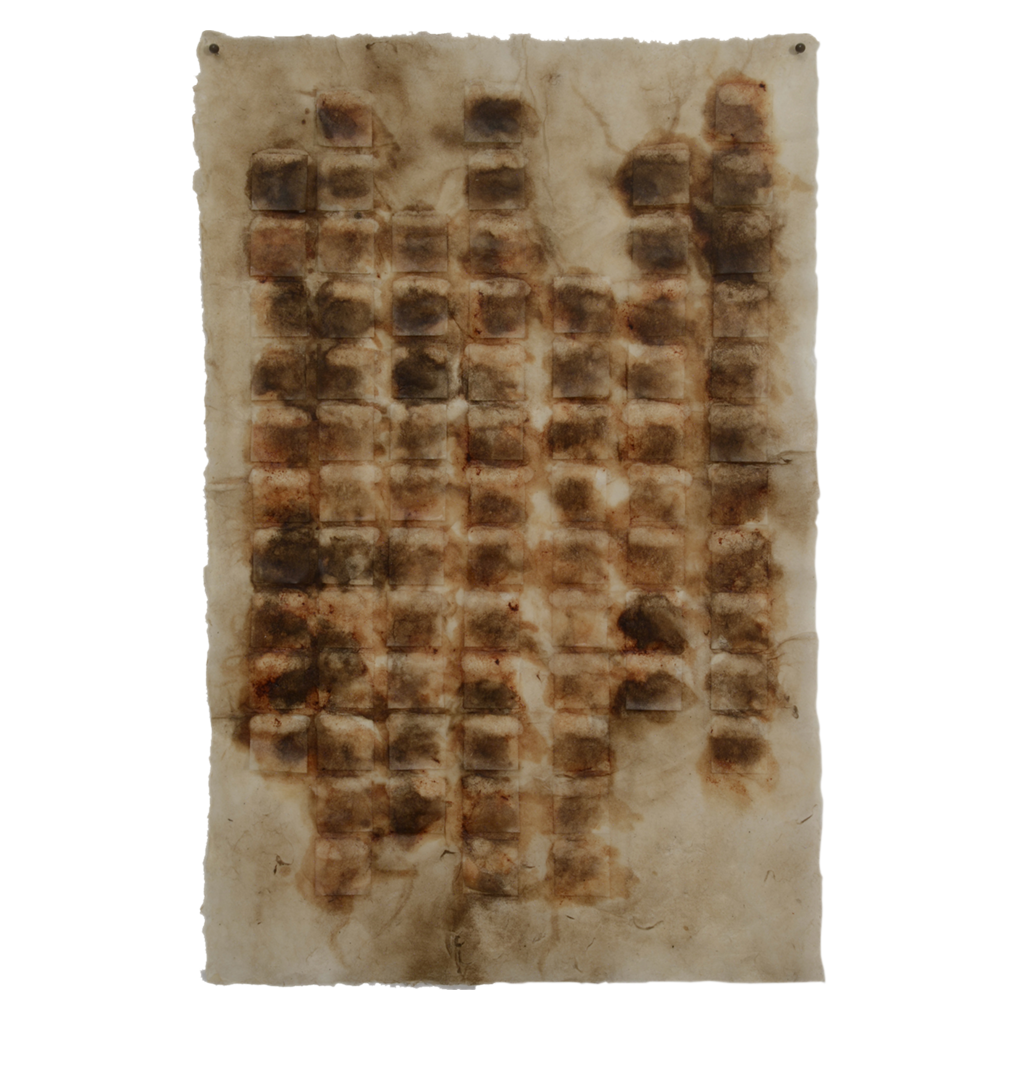 Integral 1, 16.5" x 11", kakishibu, walnut ink, beeswax