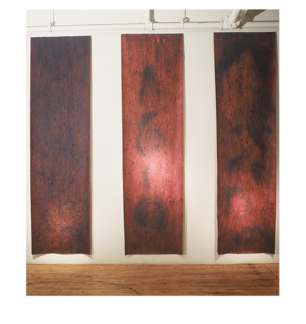   Untitled Triptych,  &nbsp;132" x 36" each panel, mulberry paper, albumen, blueberries 