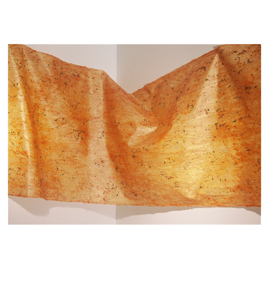   Papaya,  detail of original, 3' x 31', mulberry paper, albumen, papaya, wax medium 