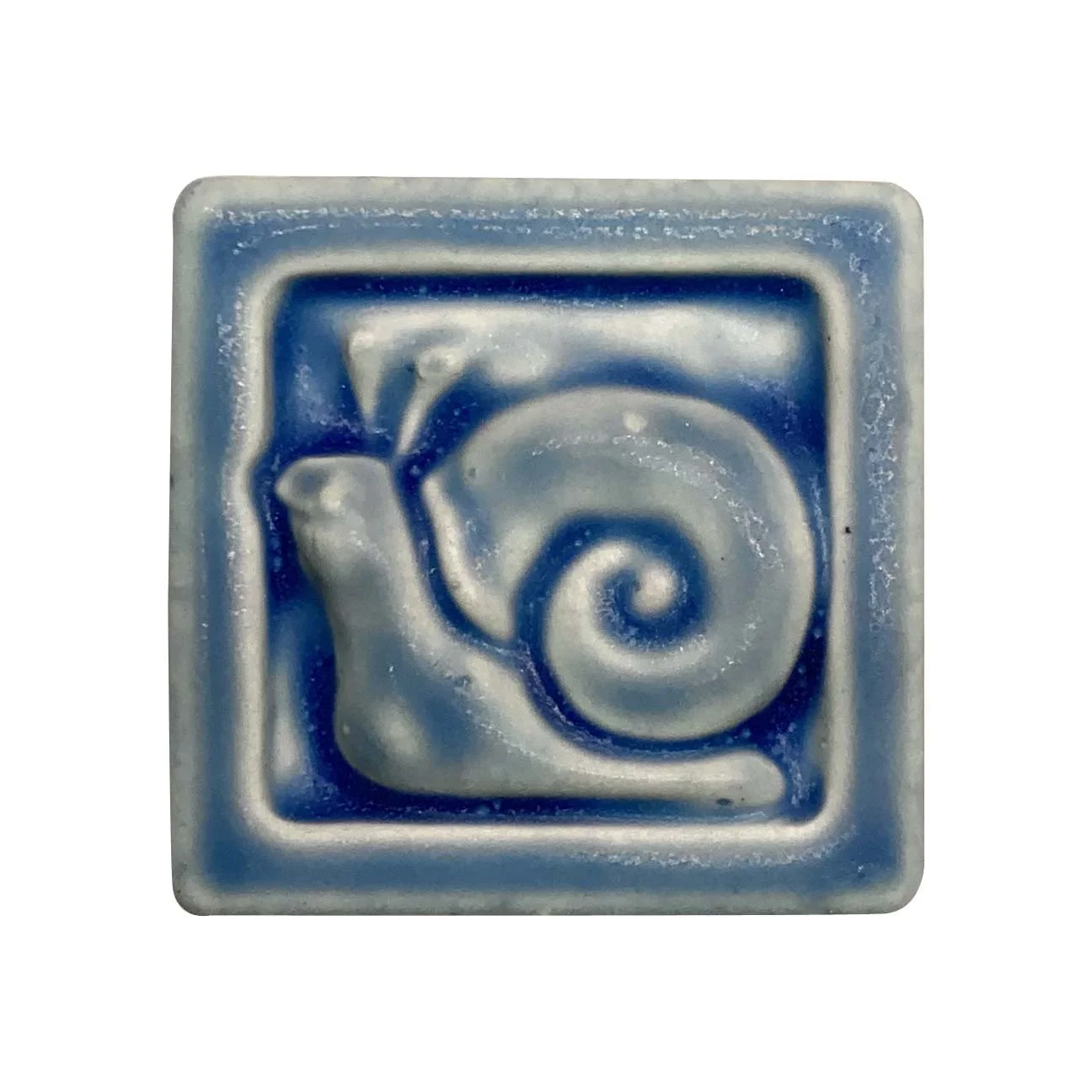 Snail 2x2 freshwater blue.jpg