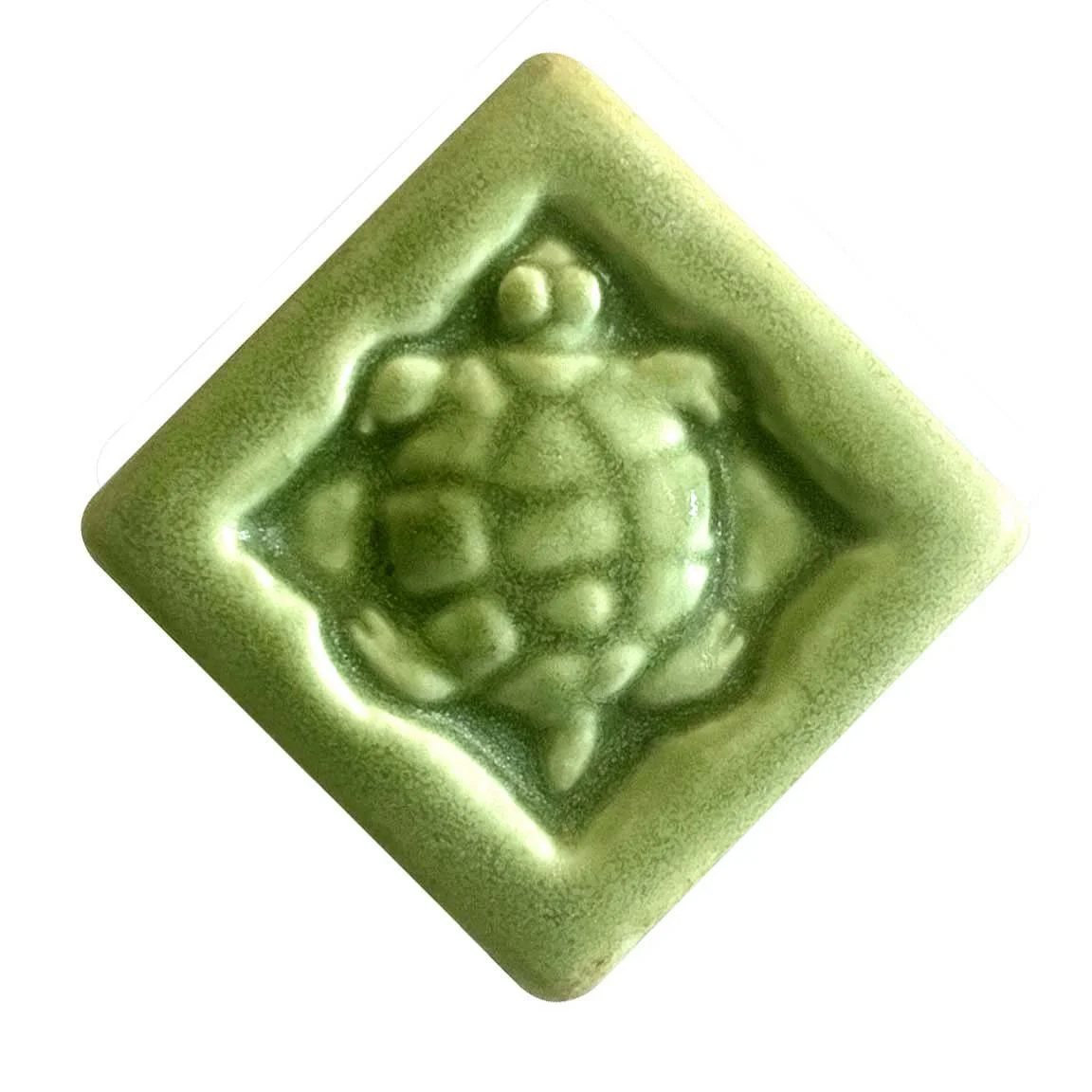 Turtle 2x2 oak hill.JPG