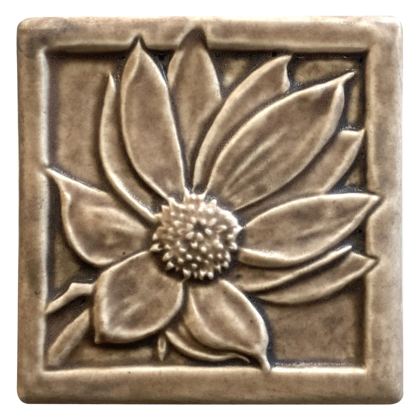 Coneflower 6x6 sepia.JPG