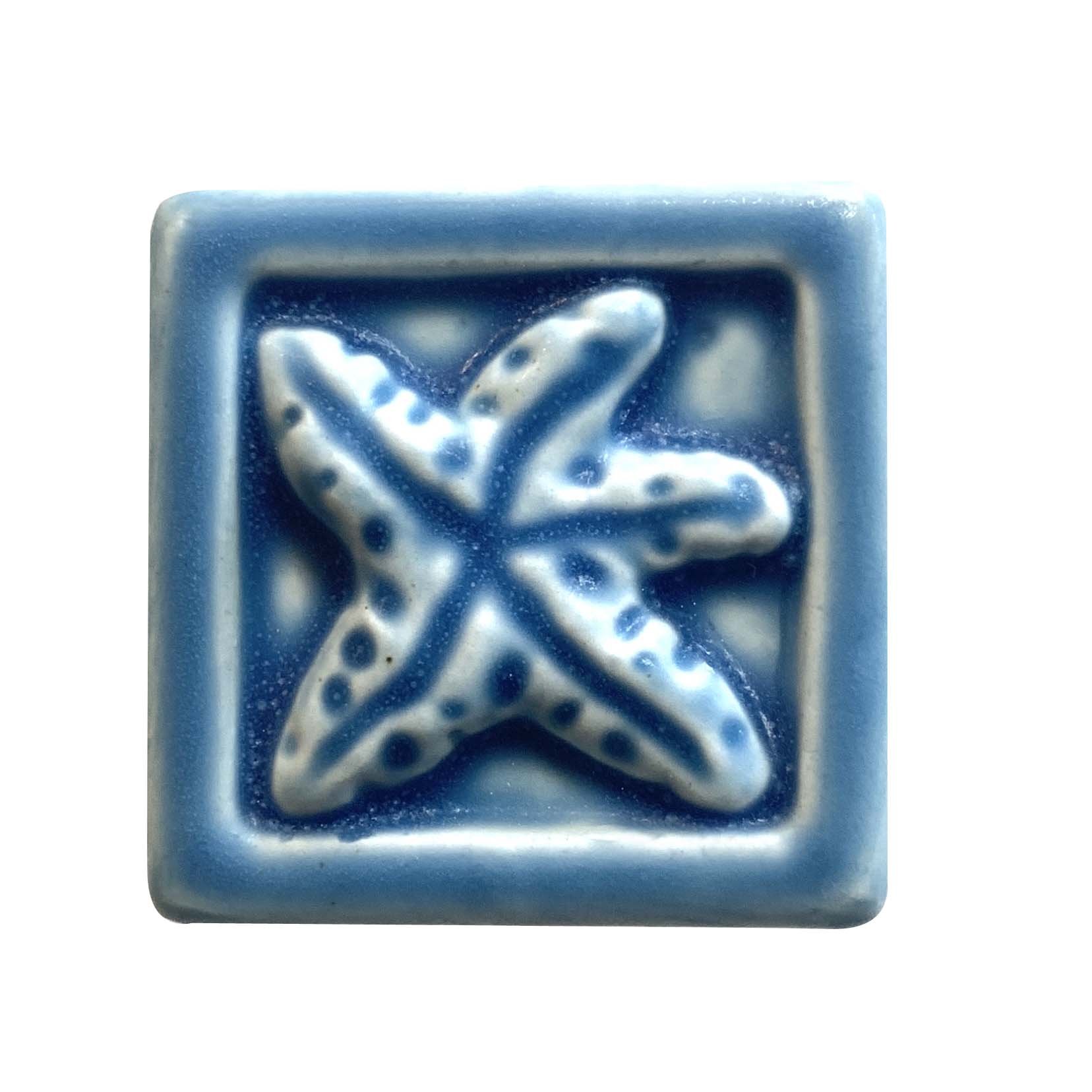 Starfish 2 x 2 Freshwater blue.JPG