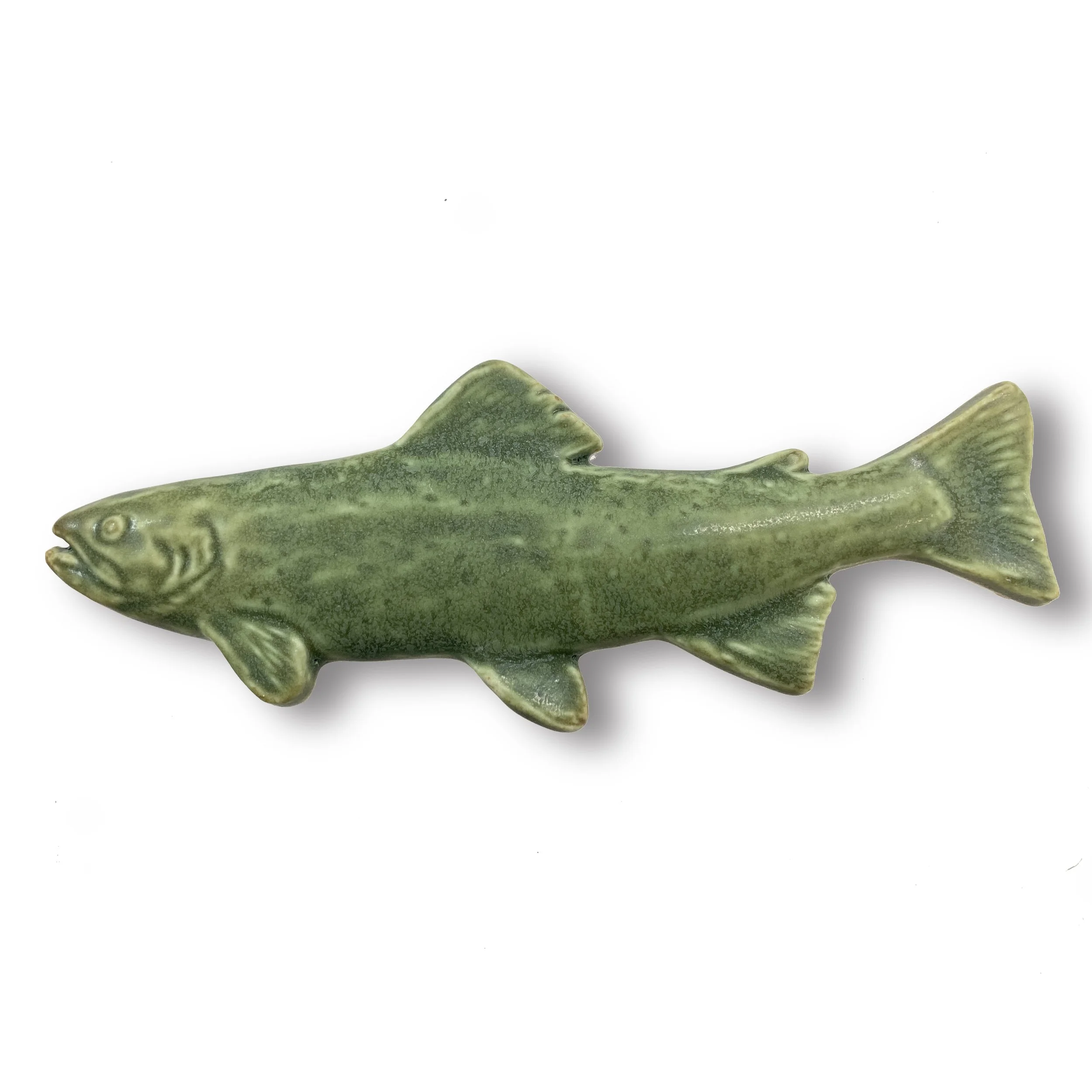 Brookie oak hill.JPG