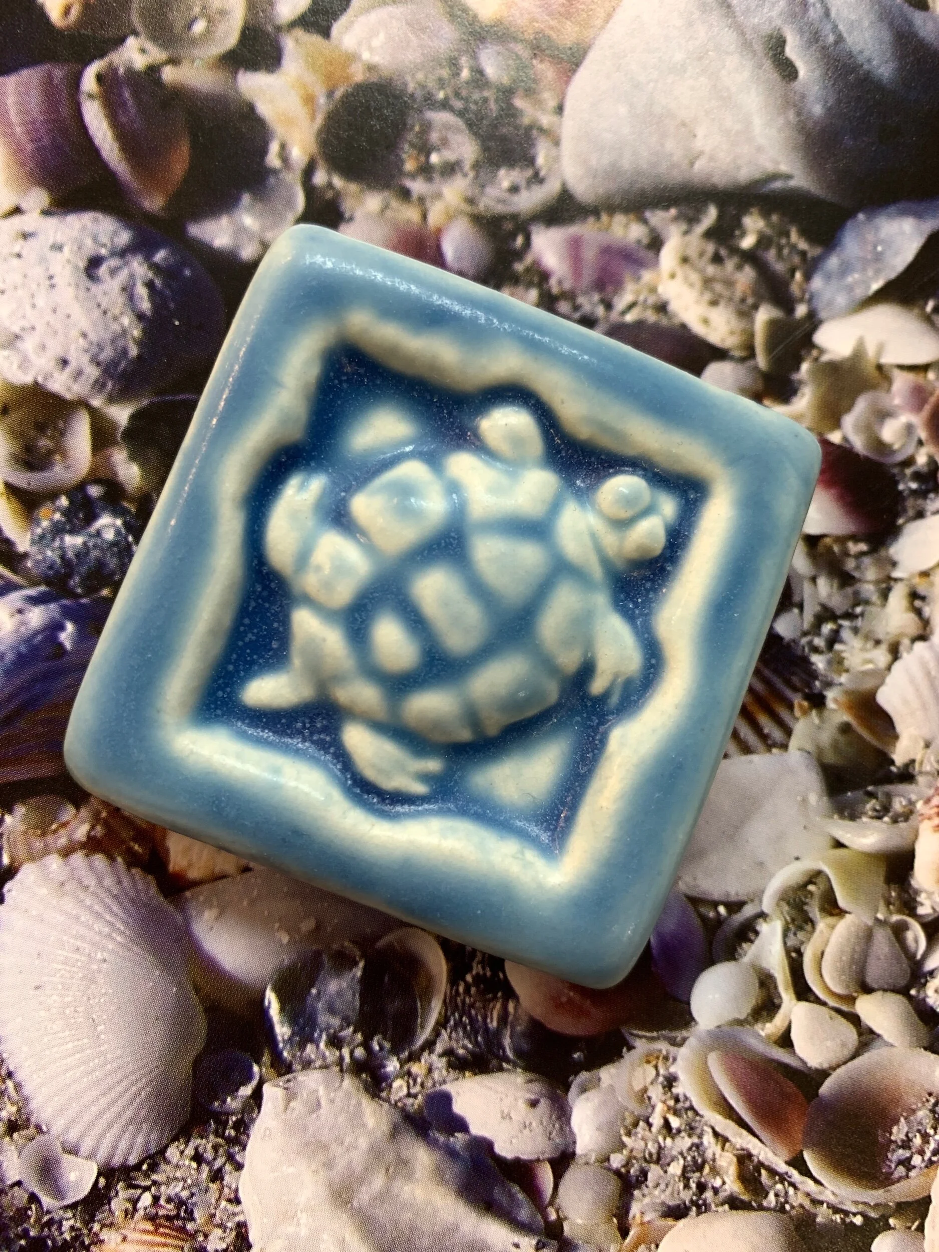 Turtle tile accent tile ceramic tile 2x2" tile