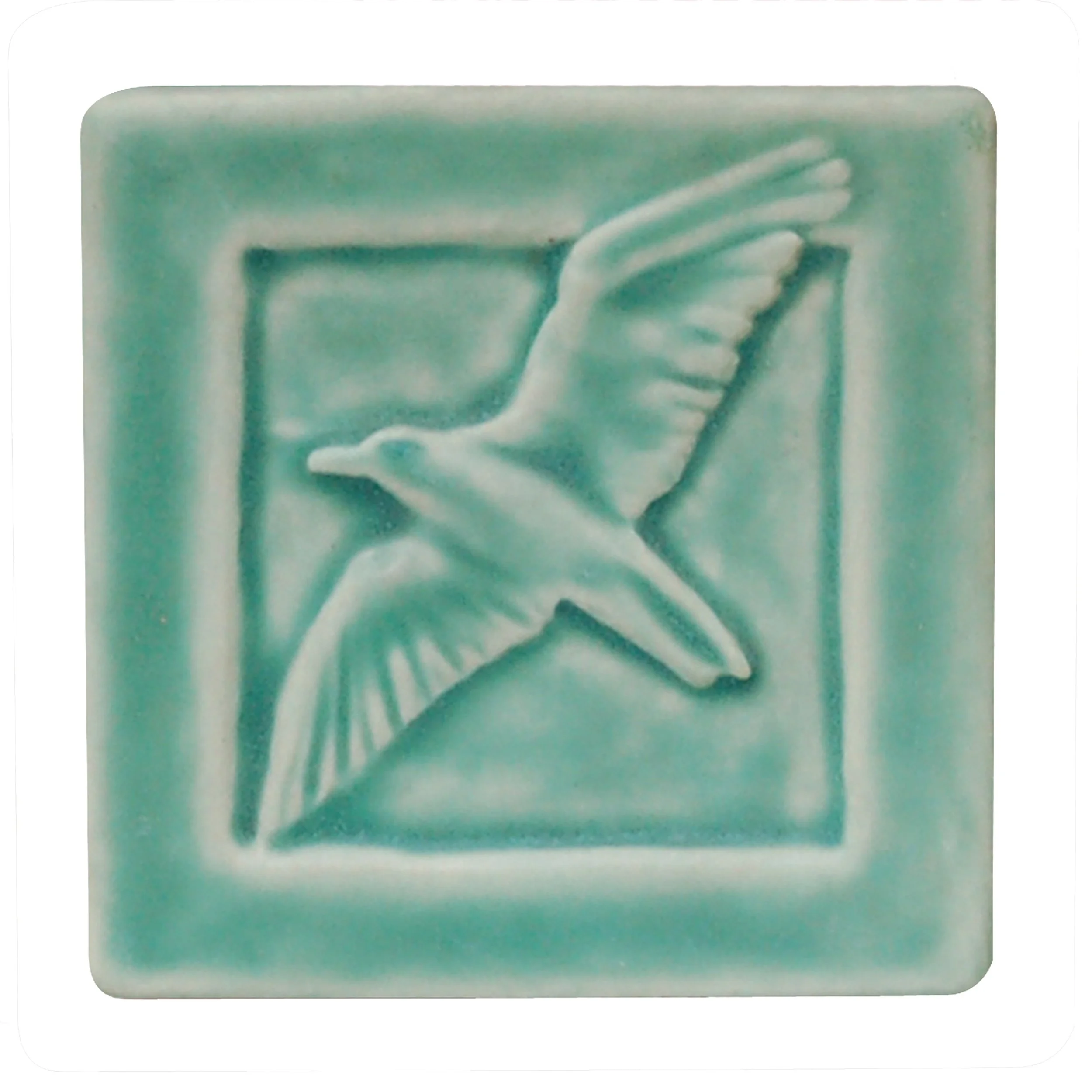 Seagull bermuda green.jpg