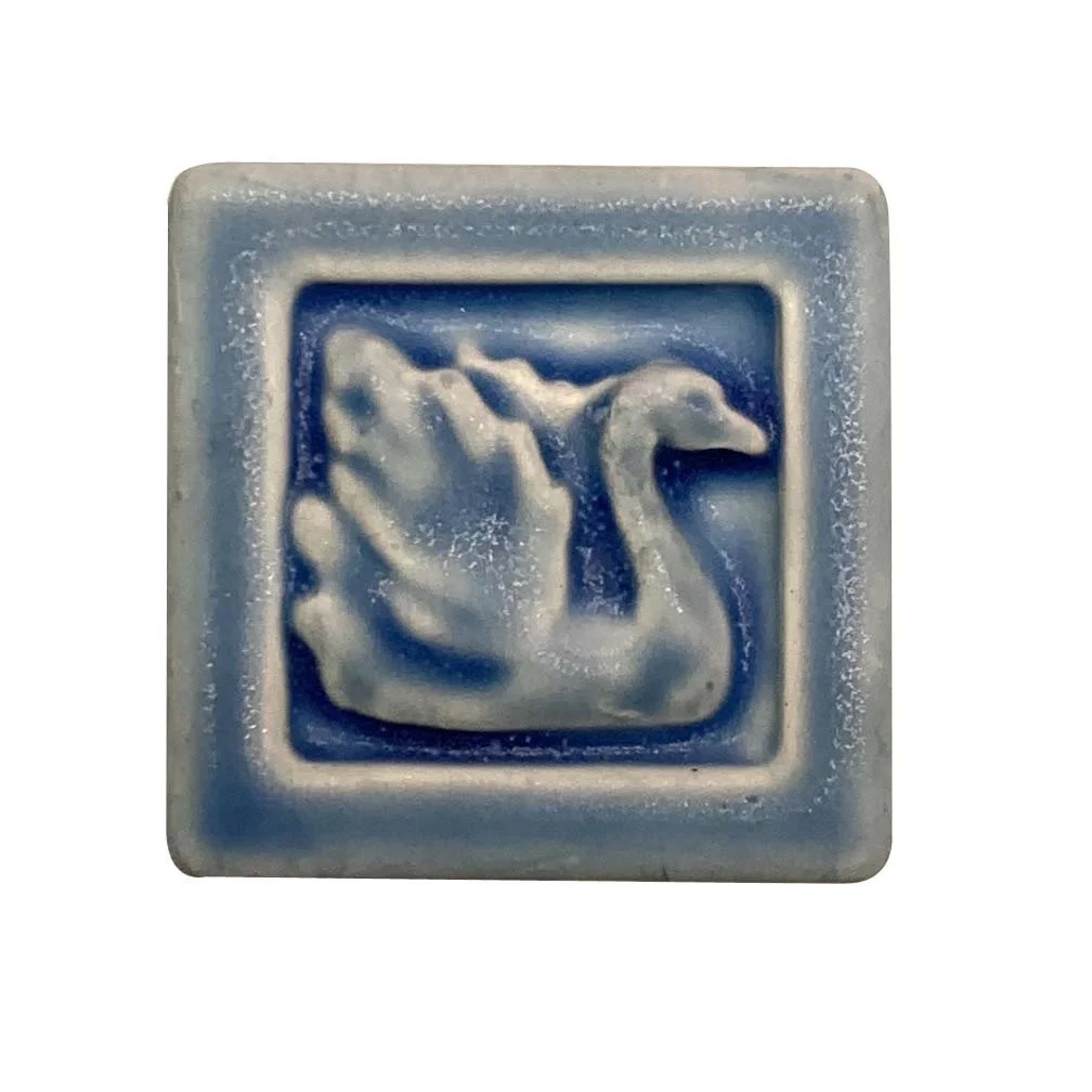 Swan 2x2 freshwater .JPG