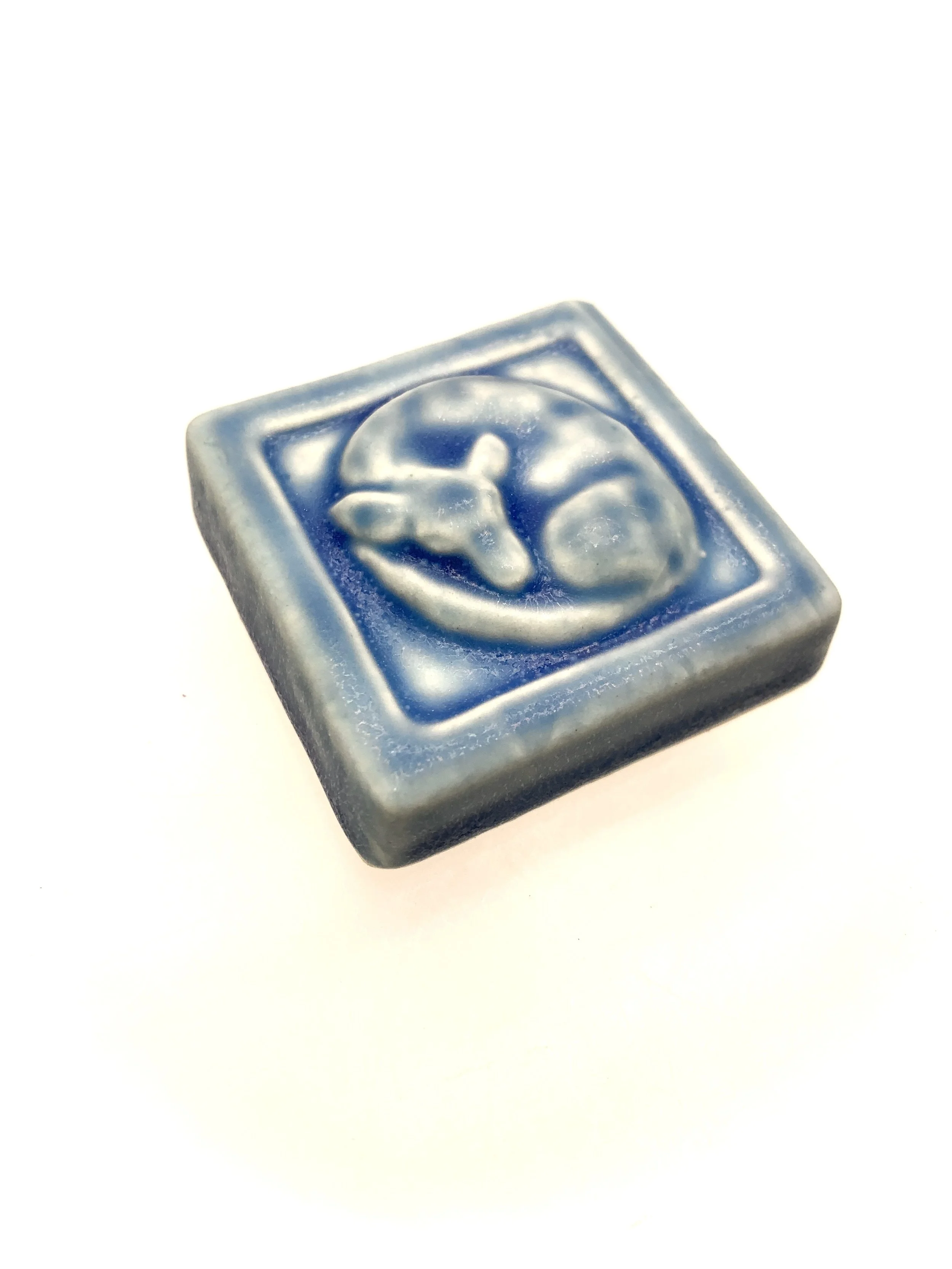 Sleeping dog 2 x 2 Freshwater side view.JPG