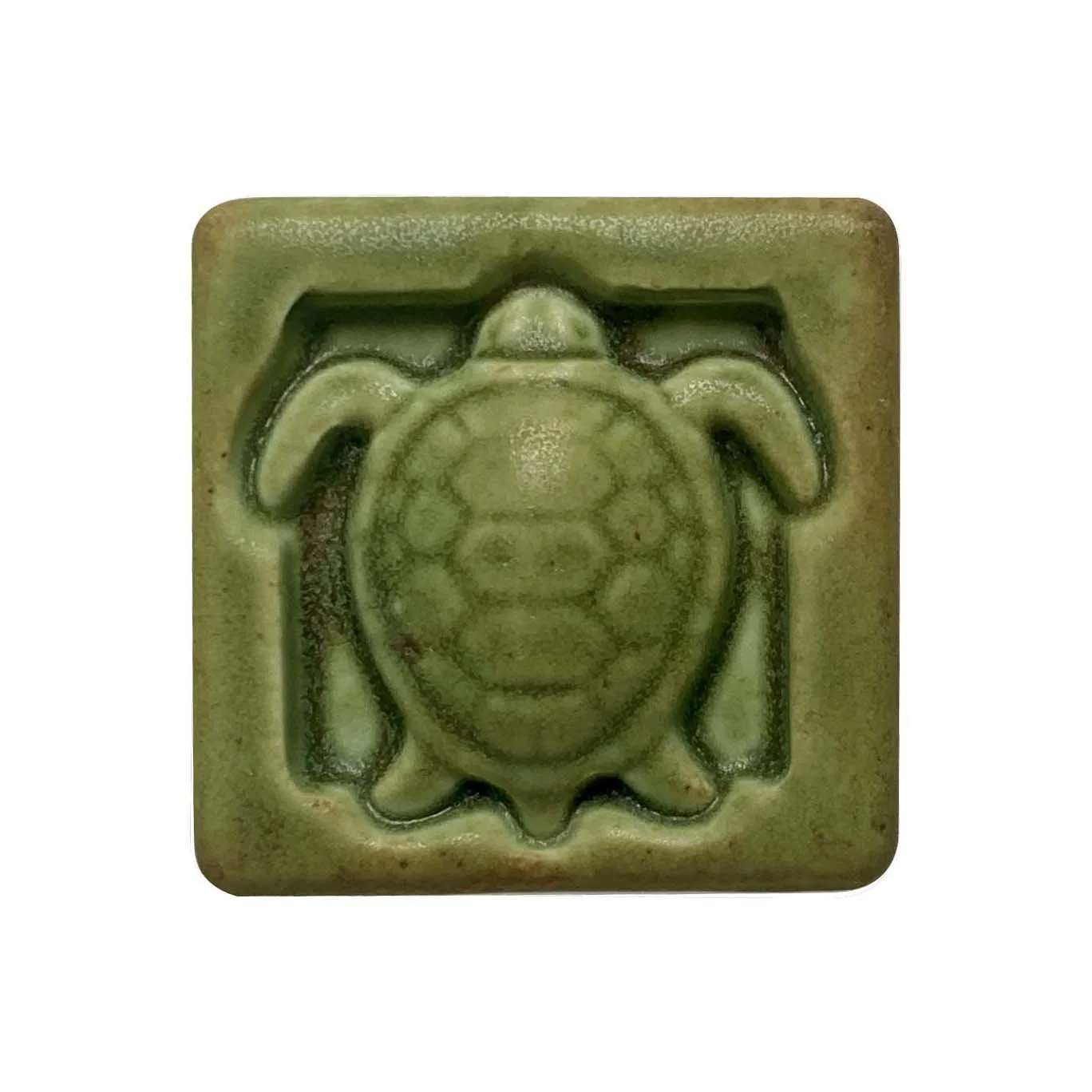 Sea turtle 2 x 2 Oakhill.JPG