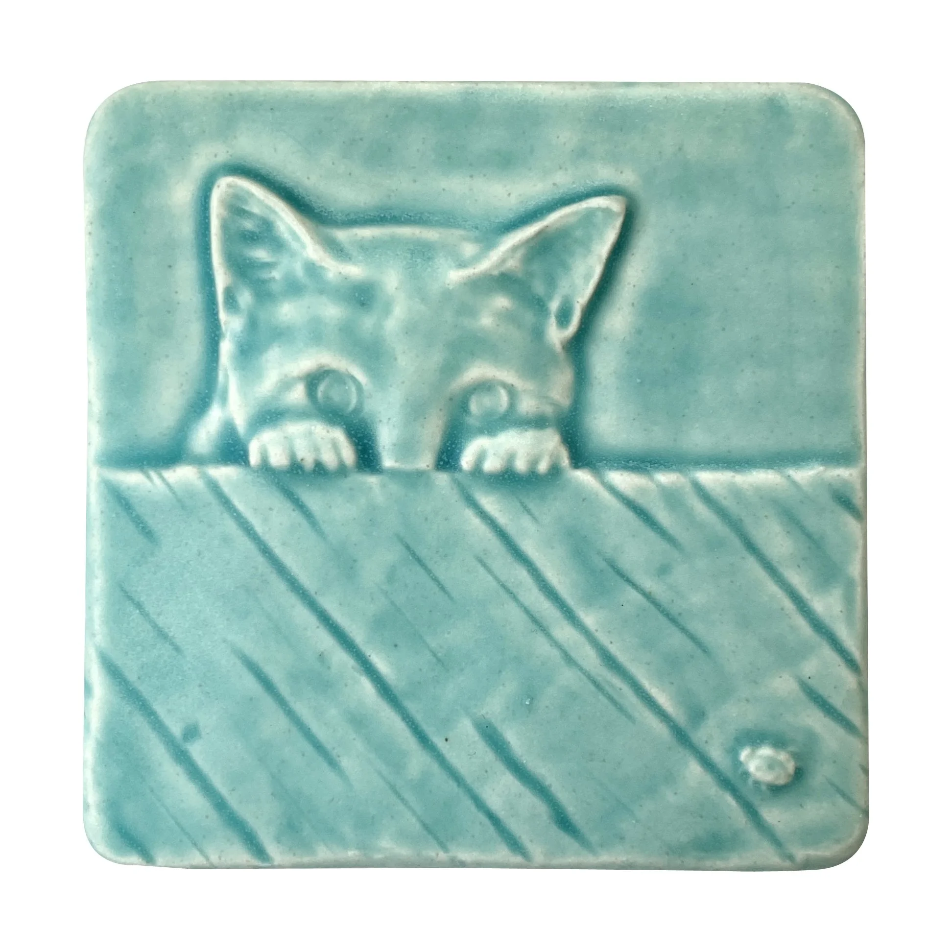 Peeking Kitty 4x4 Bermuda .JPG