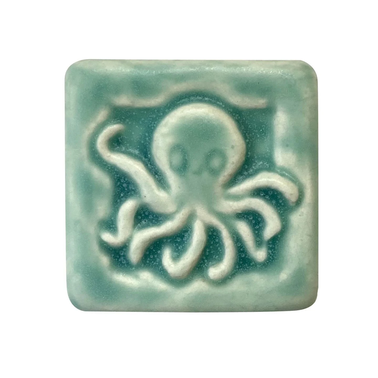 Octopus2x2bermuda.JPG