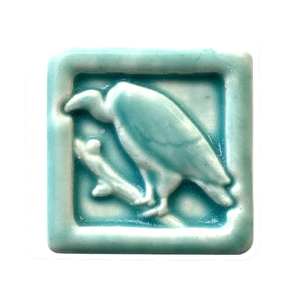 Vulture 2x2 Bermuda.JPG