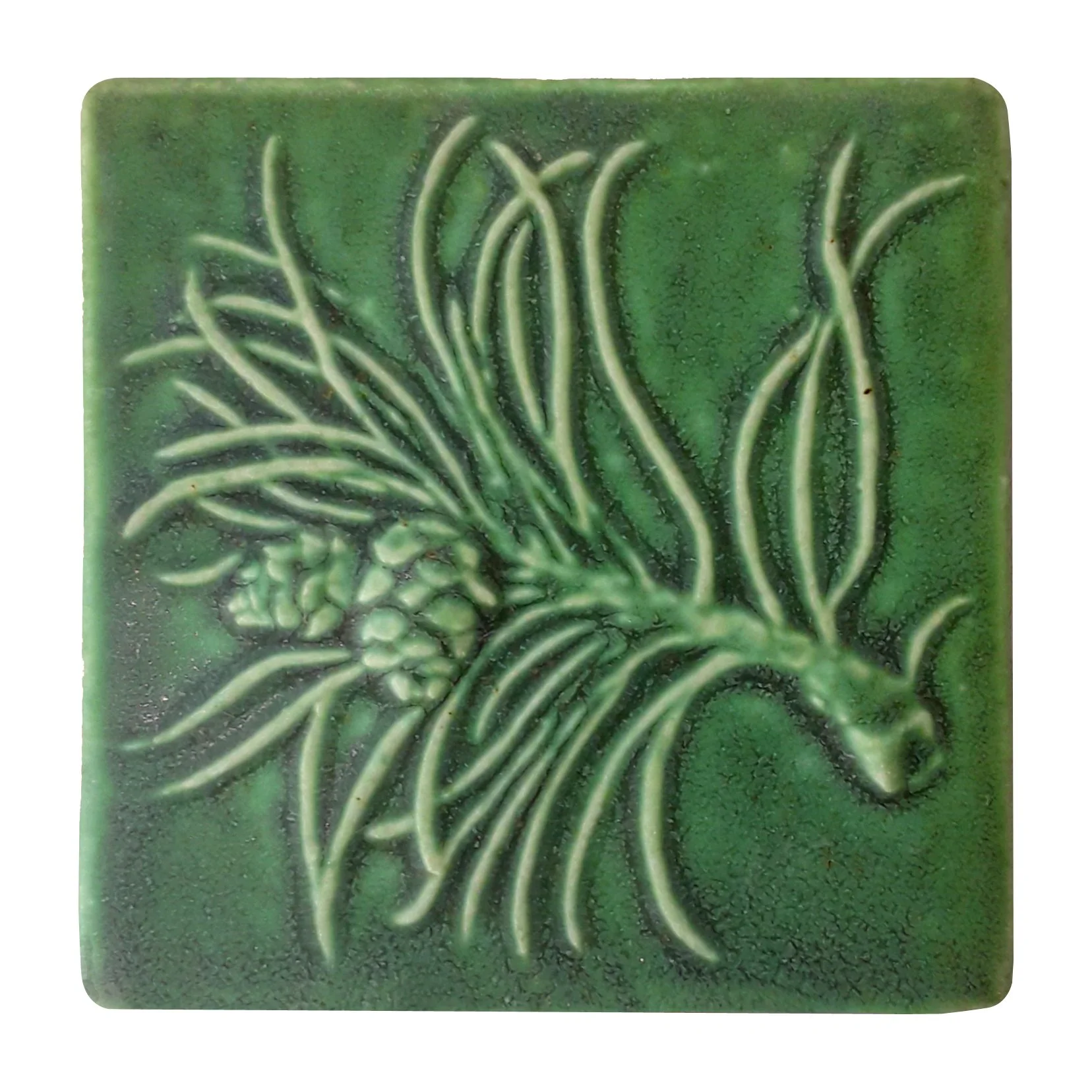 scotchpineleafgreen 1500.jpg