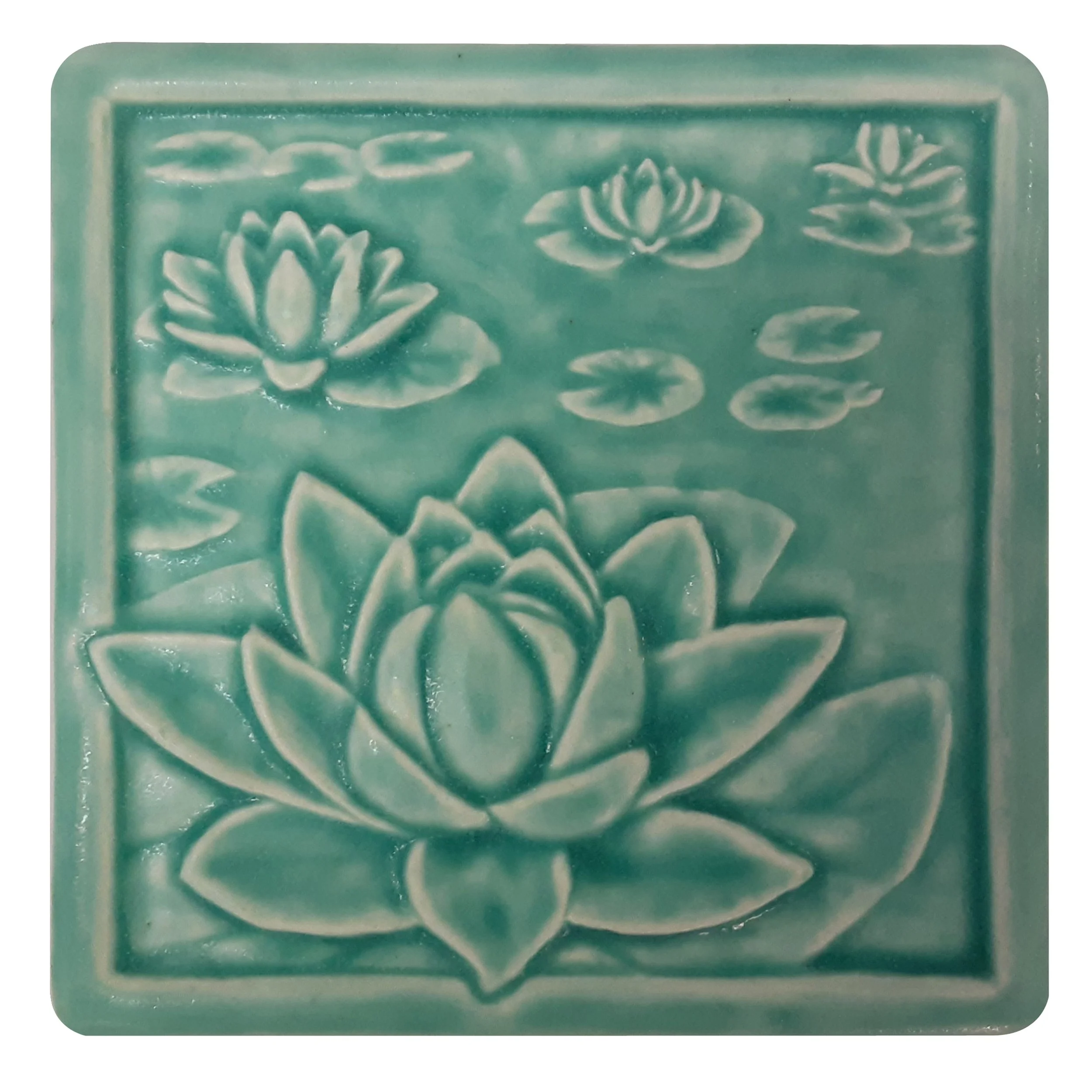 Water Lily Bermuda Sq.jpg