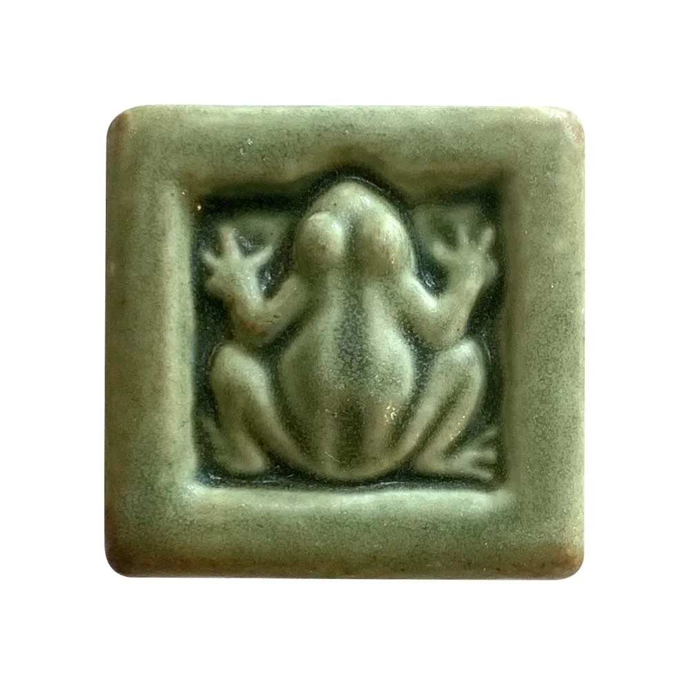 Spring peeper 2x2 oak hill.JPG