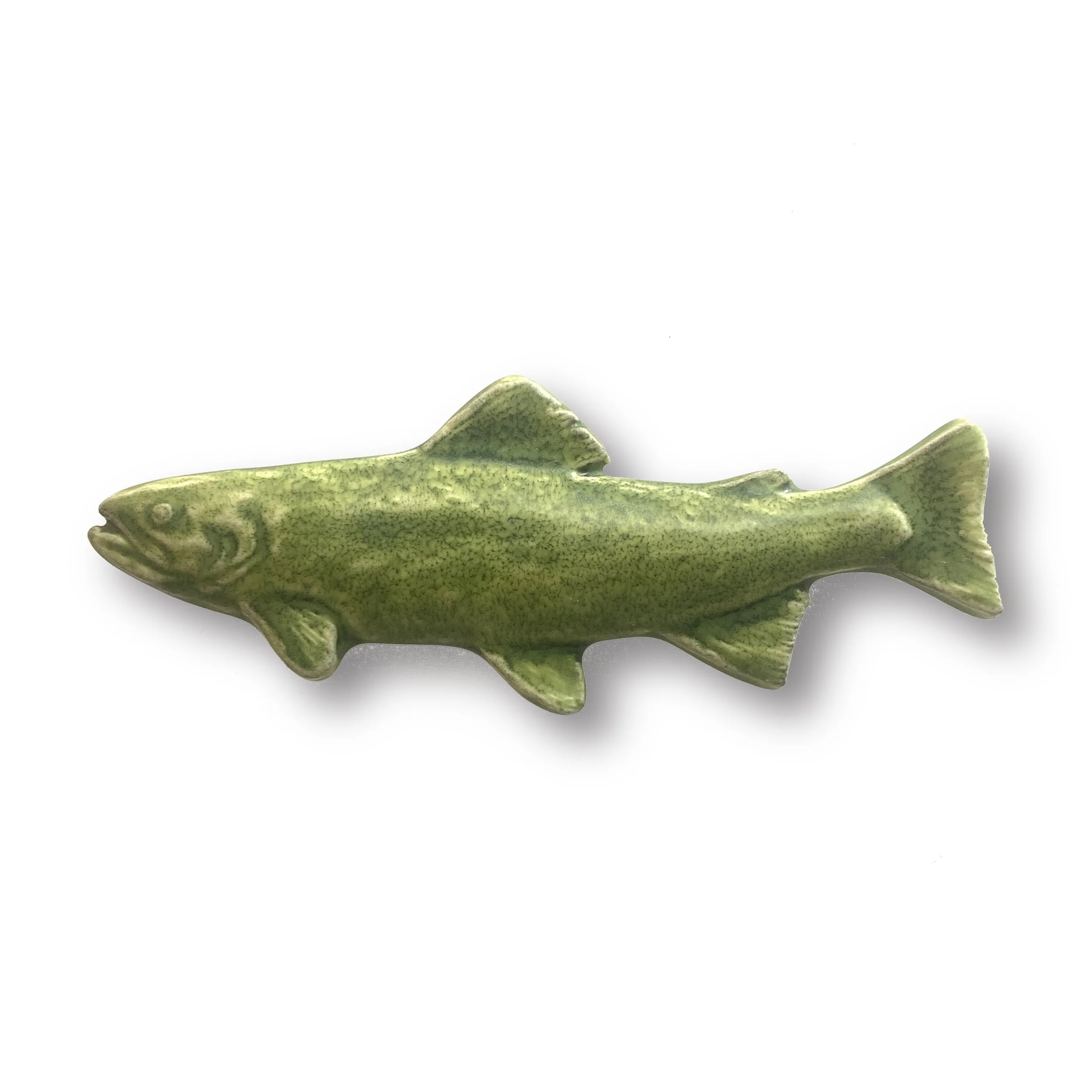 Brookie tree frog.JPG