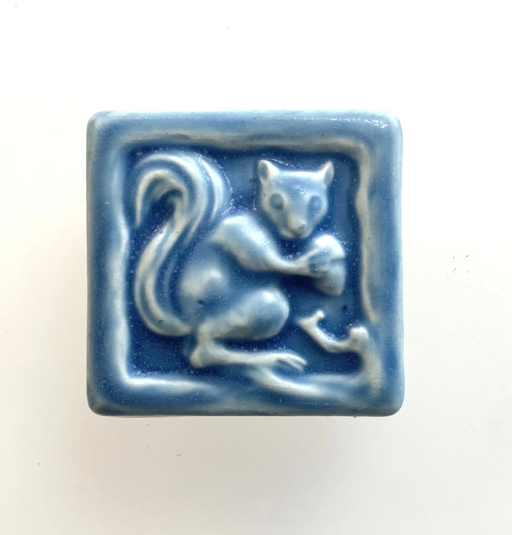 Devious squirrel 2 x 2 freshwater.JPG