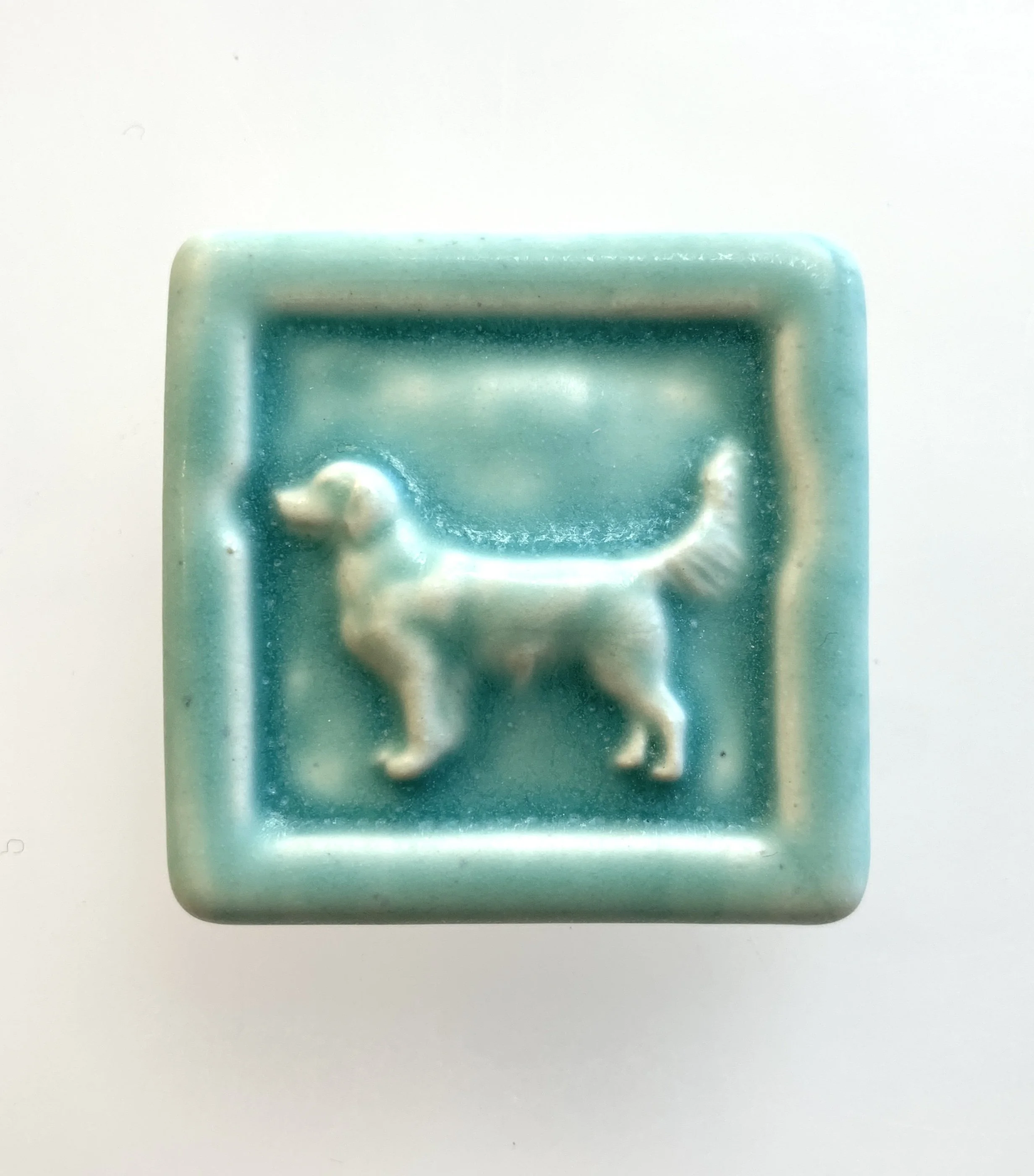 Retriever 2 x 2 bermuda.JPG