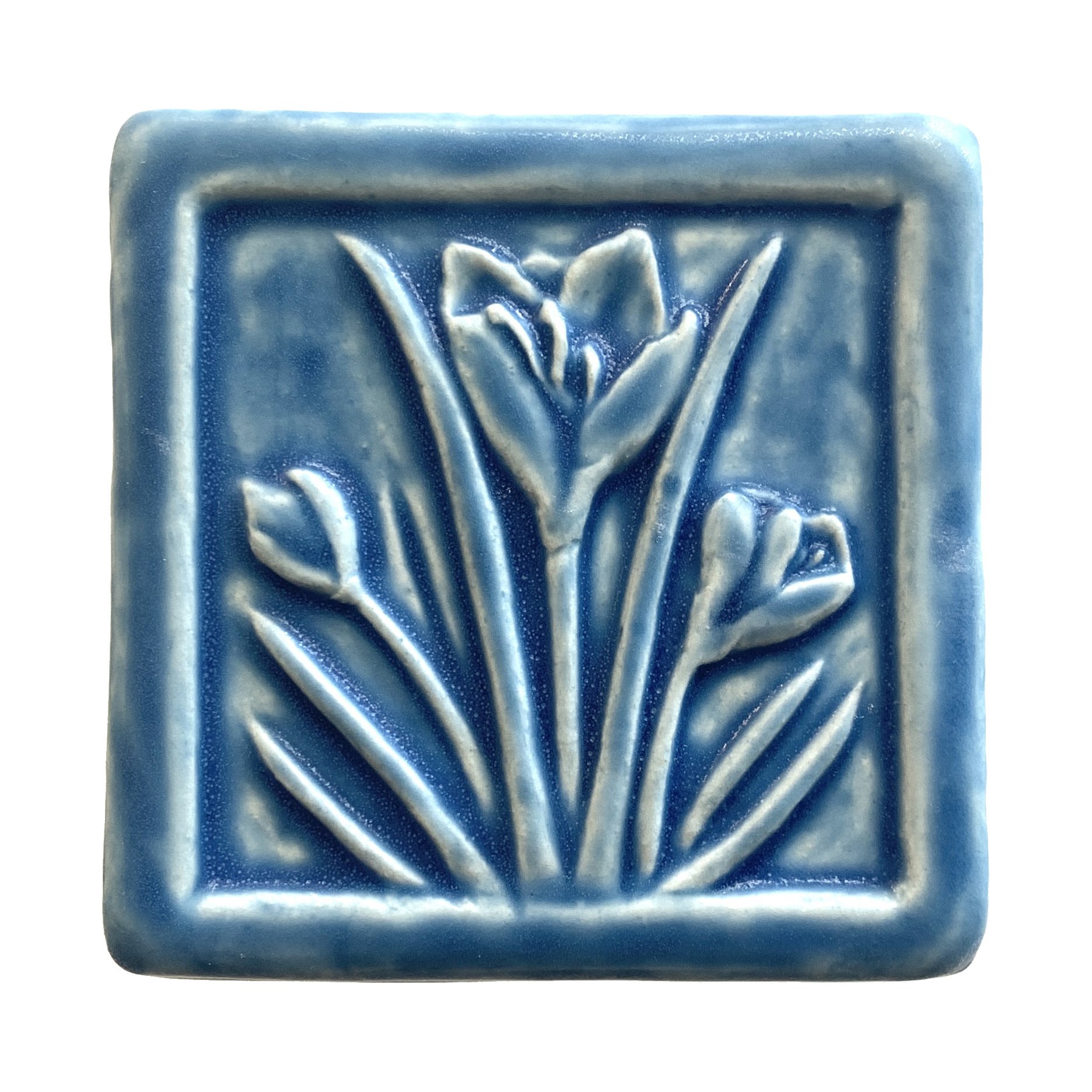 Crocus 4 x 4 Freshwater blue.JPG