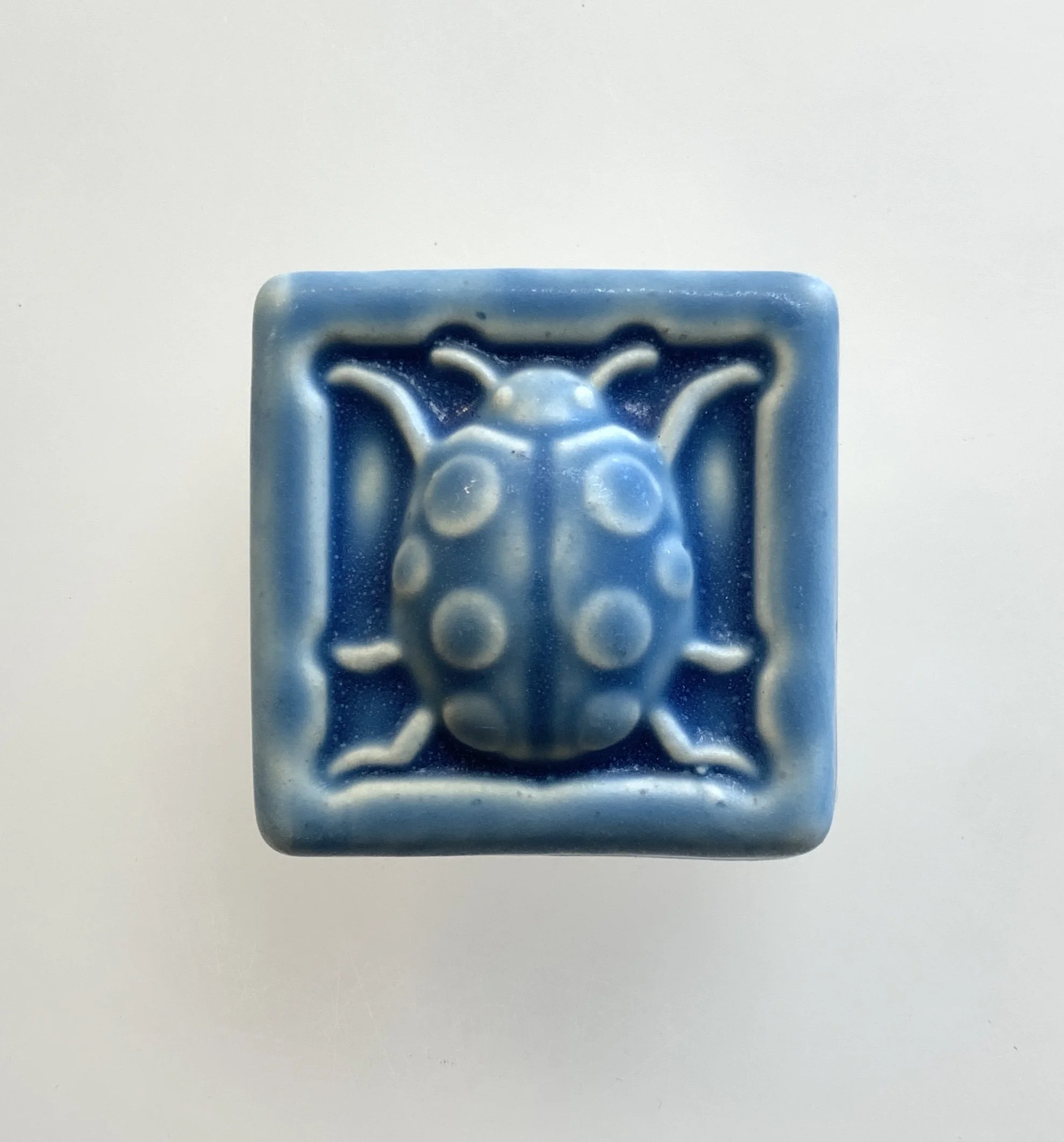 Ladybug 2 x 2 Freshwater.JPG