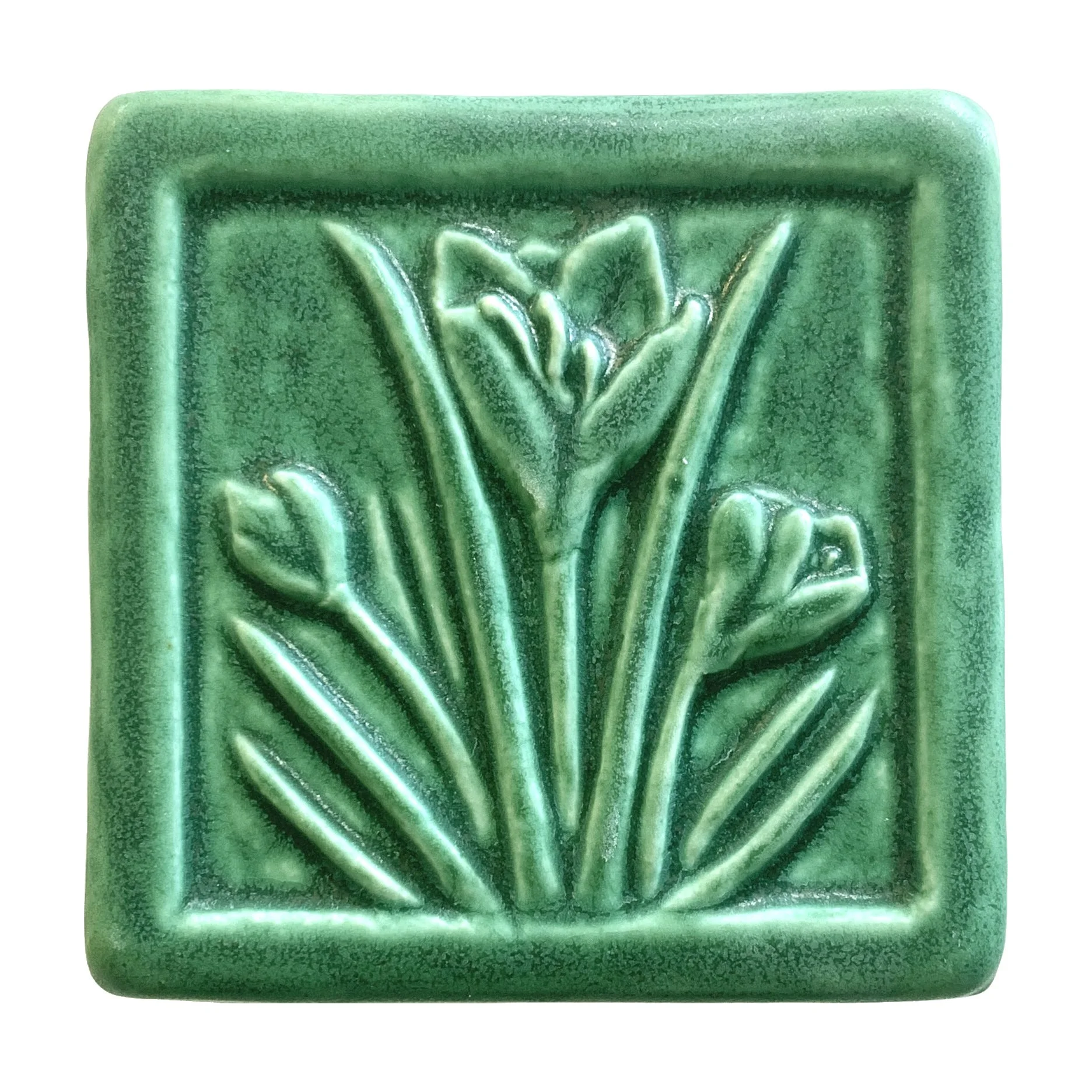 Crocus is 4 x 4 leaf green.JPG