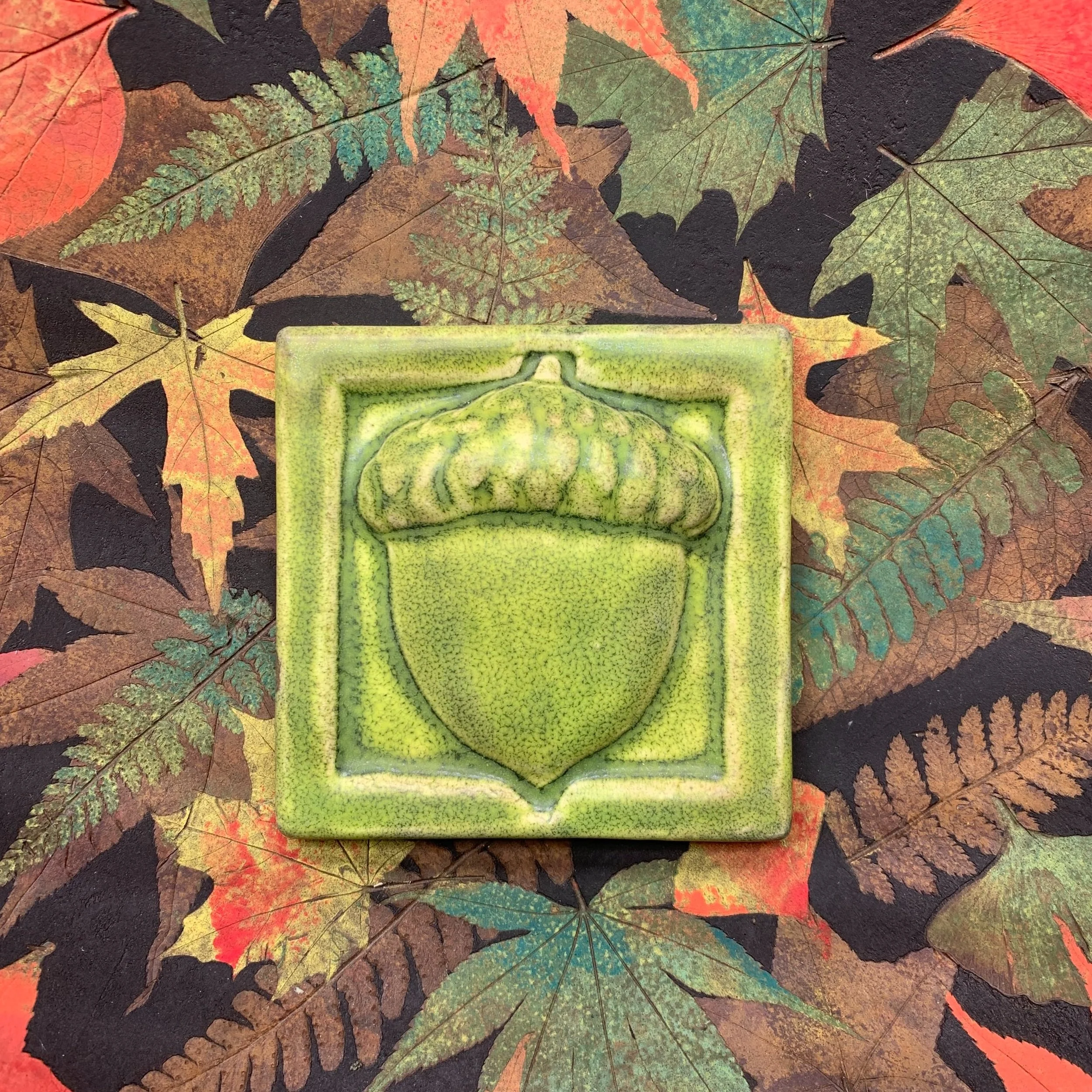 Acorn Ceramic Art Tile in Tree Frog Glaze 4x4 inches. Hand made in  Michigan.
