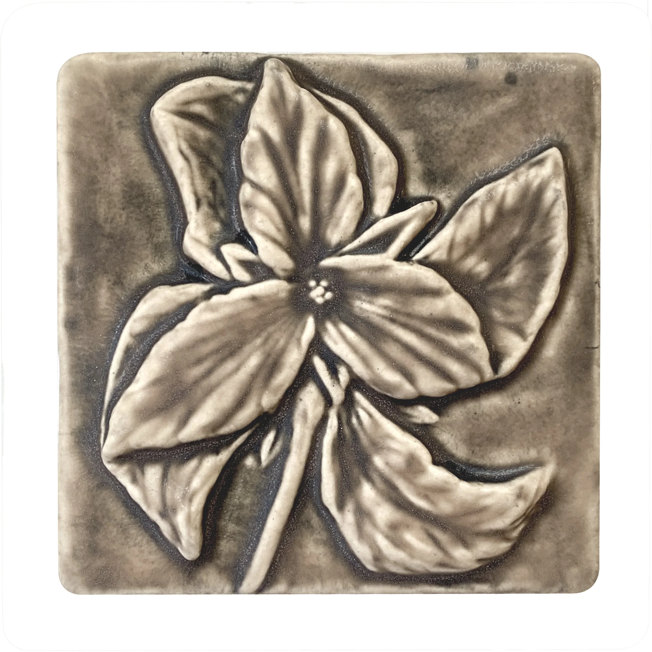 Trillium flower 4 x 4 sepia.JPG